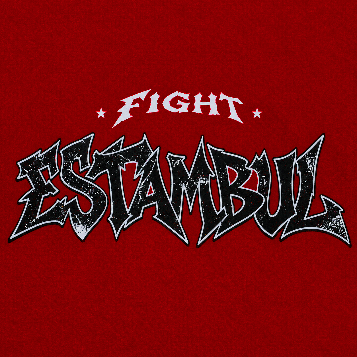 Camiseta hombre R. Fight