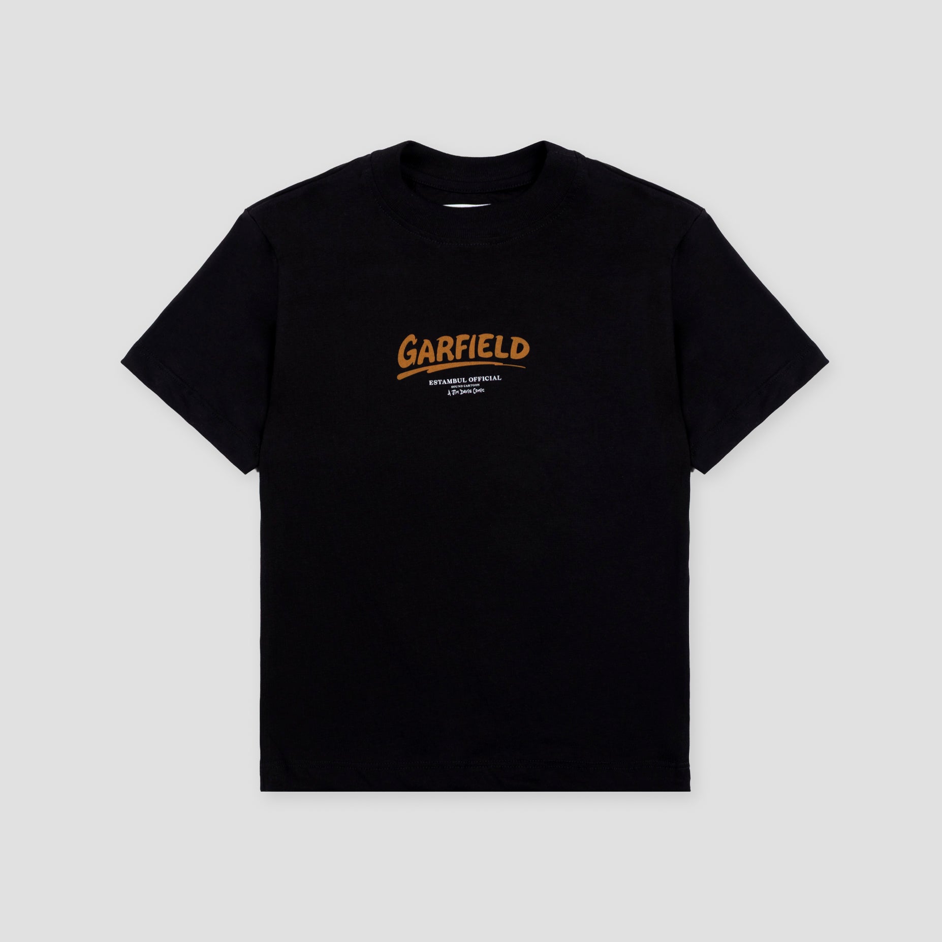 Camiseta niño R. Garfield