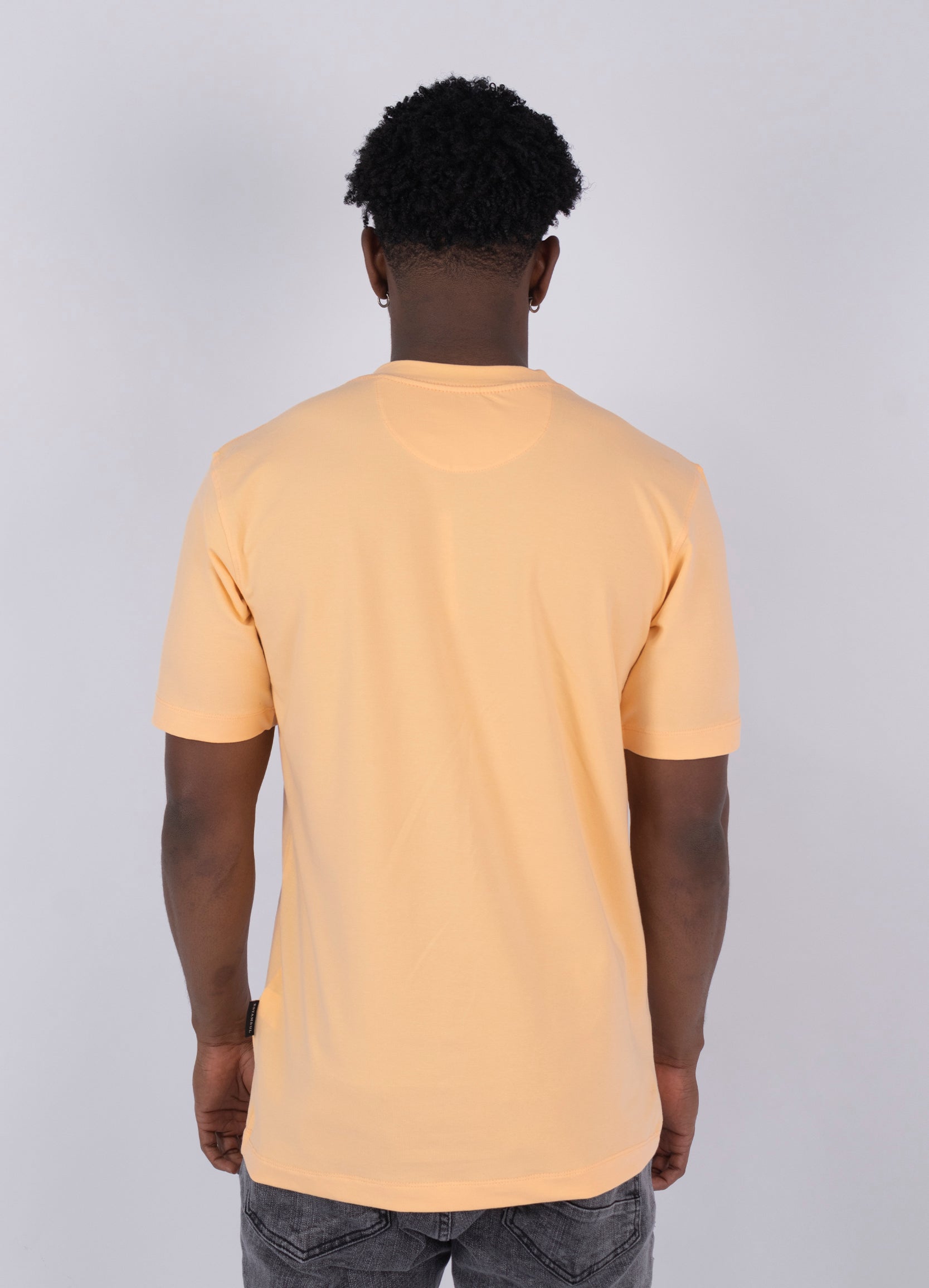 Camiseta hombre Basica