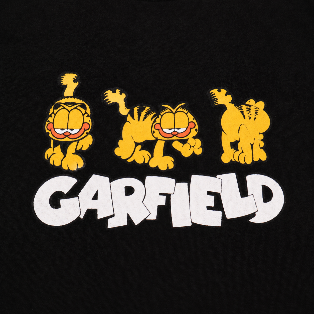 Camiseta niño R. Garfield