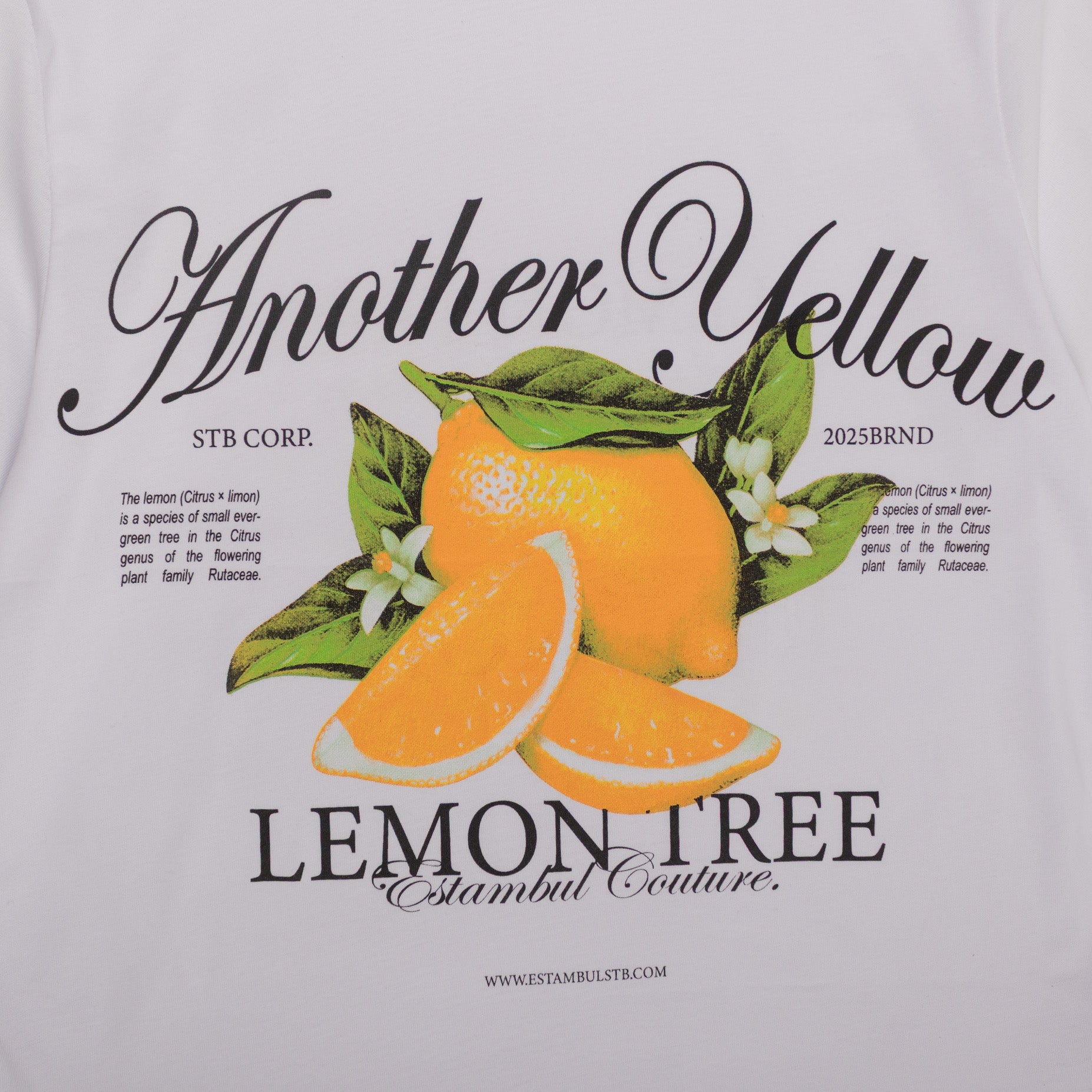 Camiseta hombre R. Lemon tree