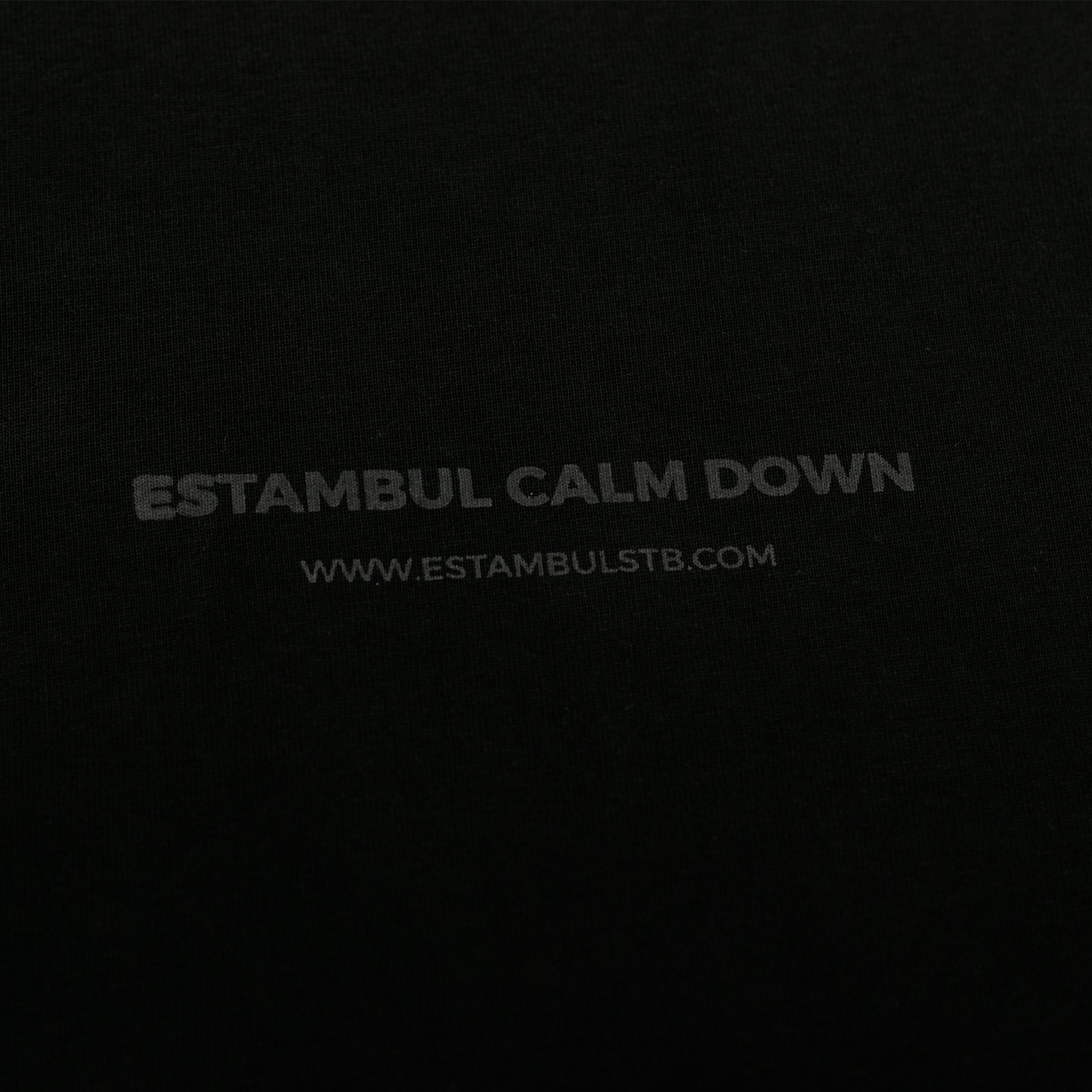 Camiseta hombre R. Mindset