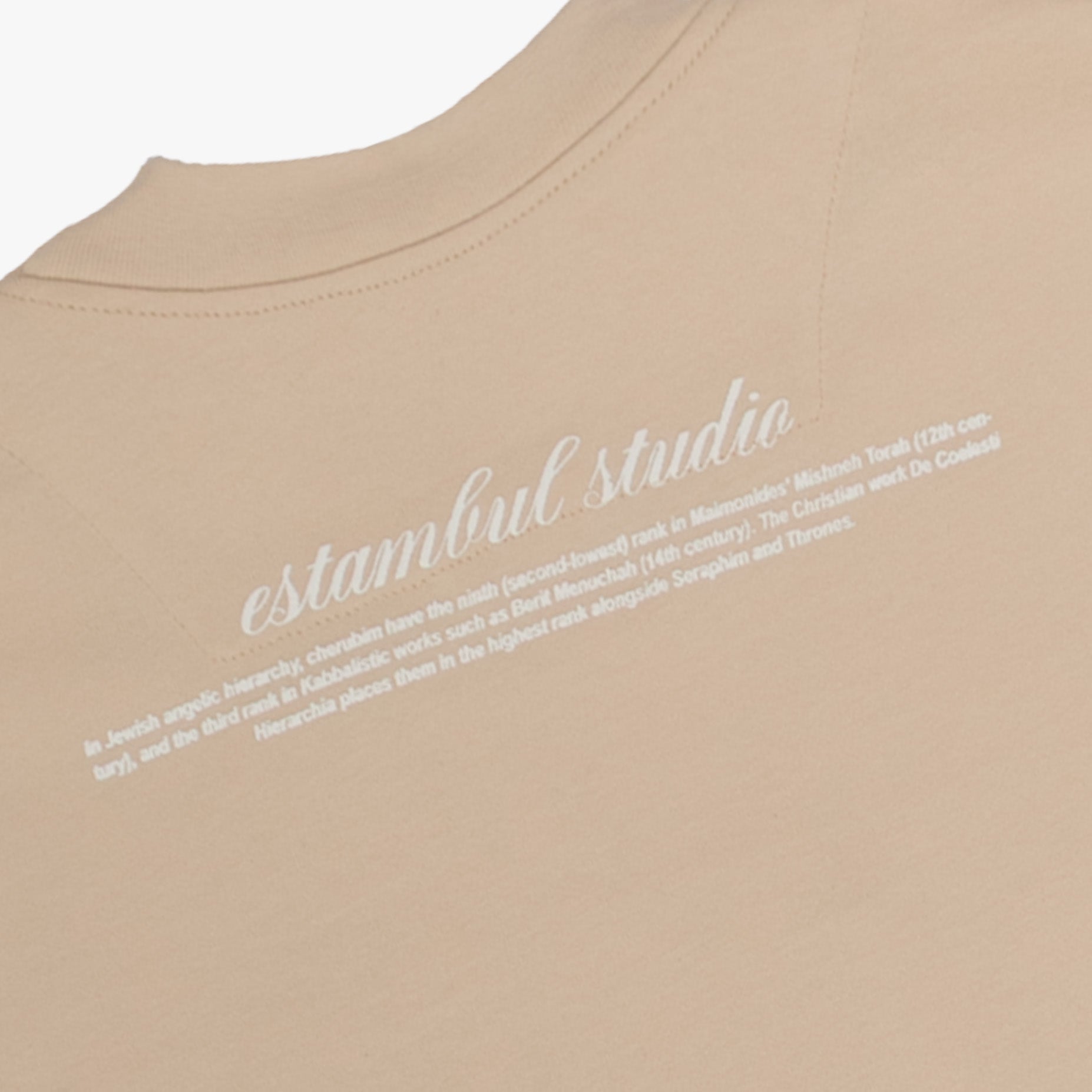 Camiseta hombre R. Angels