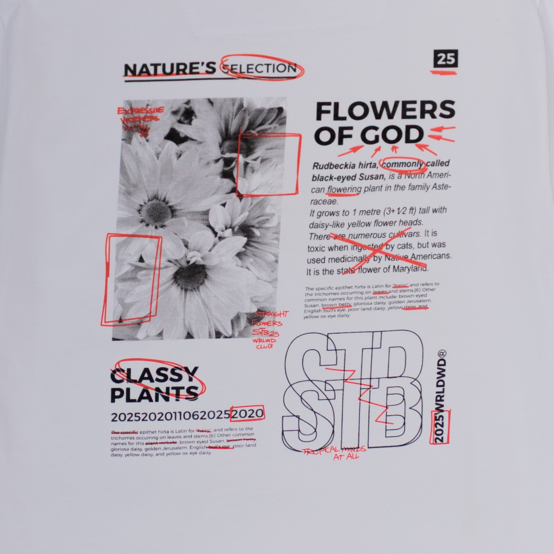 Camiseta hombre R. Classy