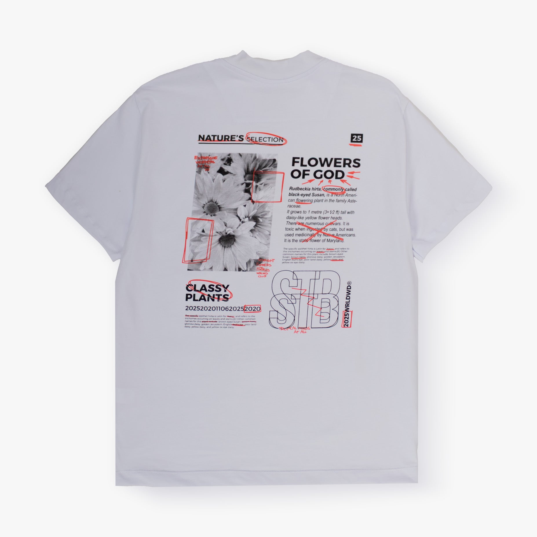 Camiseta hombre R. Classy