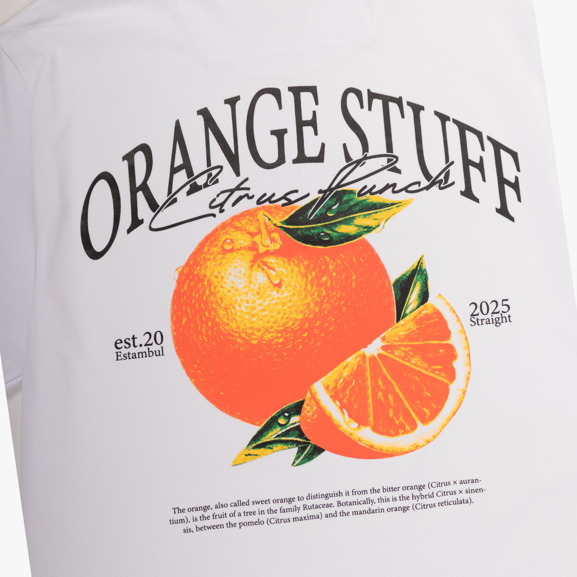 Camiseta hombre R. Orange