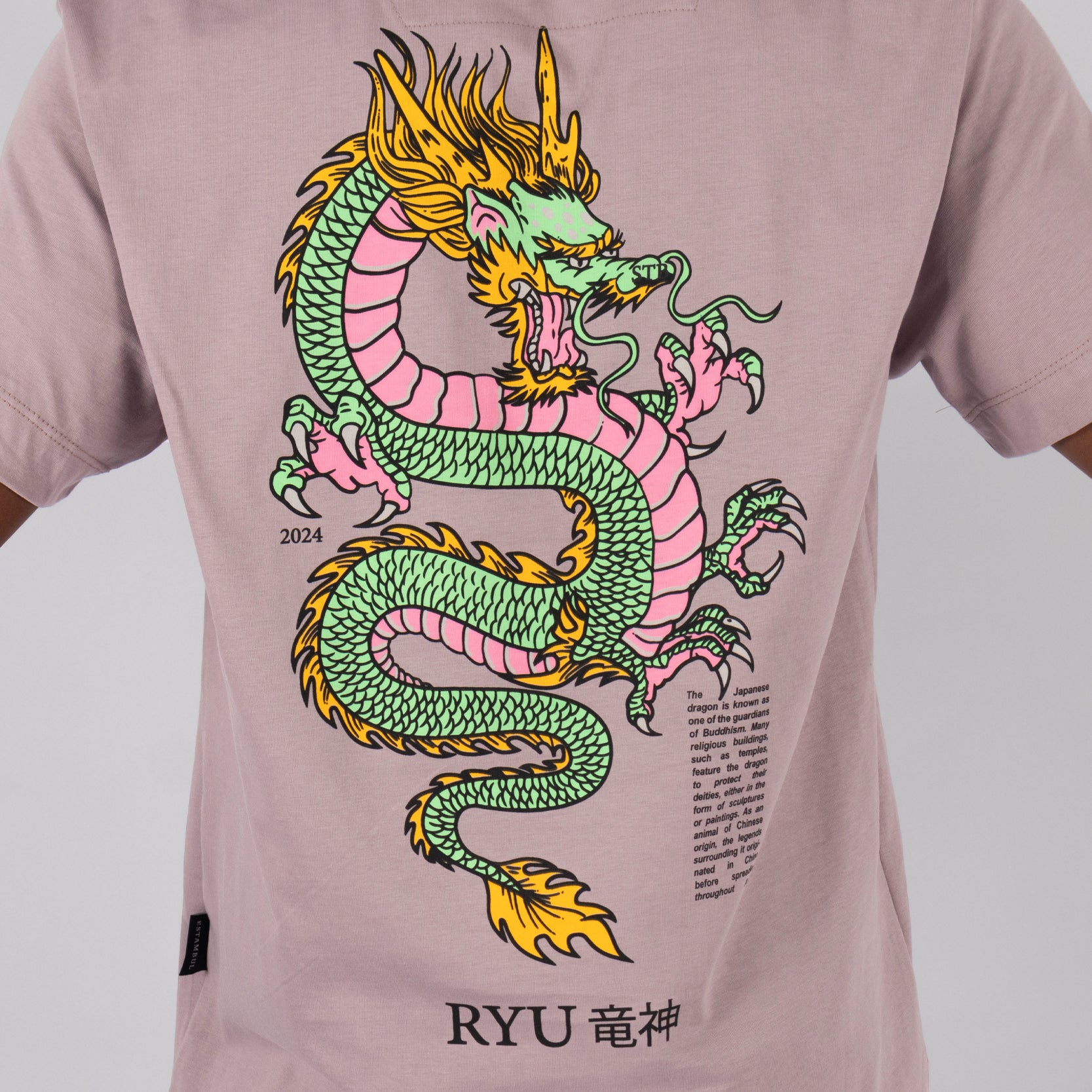 Camiseta regular dragon RYU