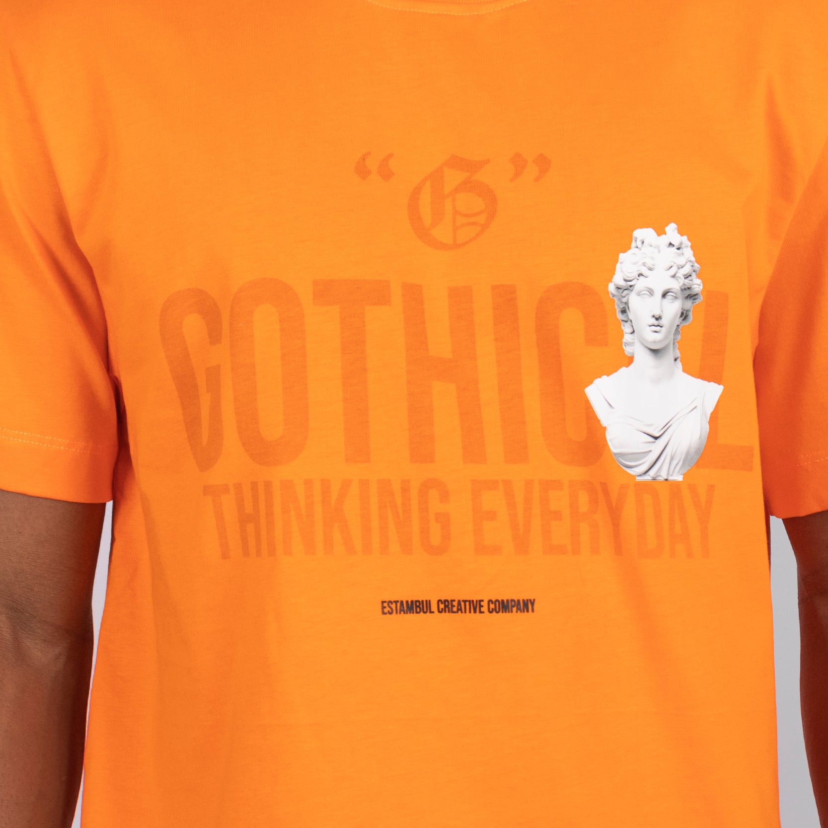 Camiseta regular estampada everyday