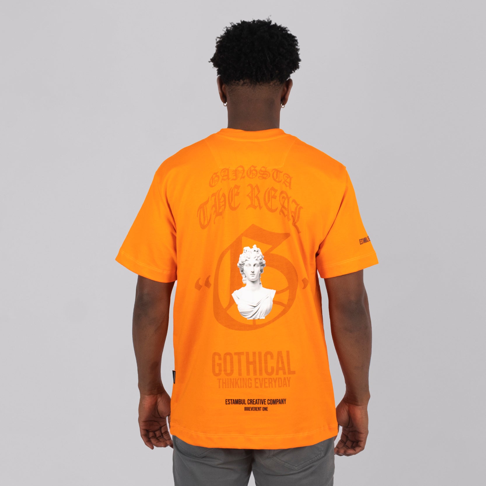 Camiseta regular estampada everyday