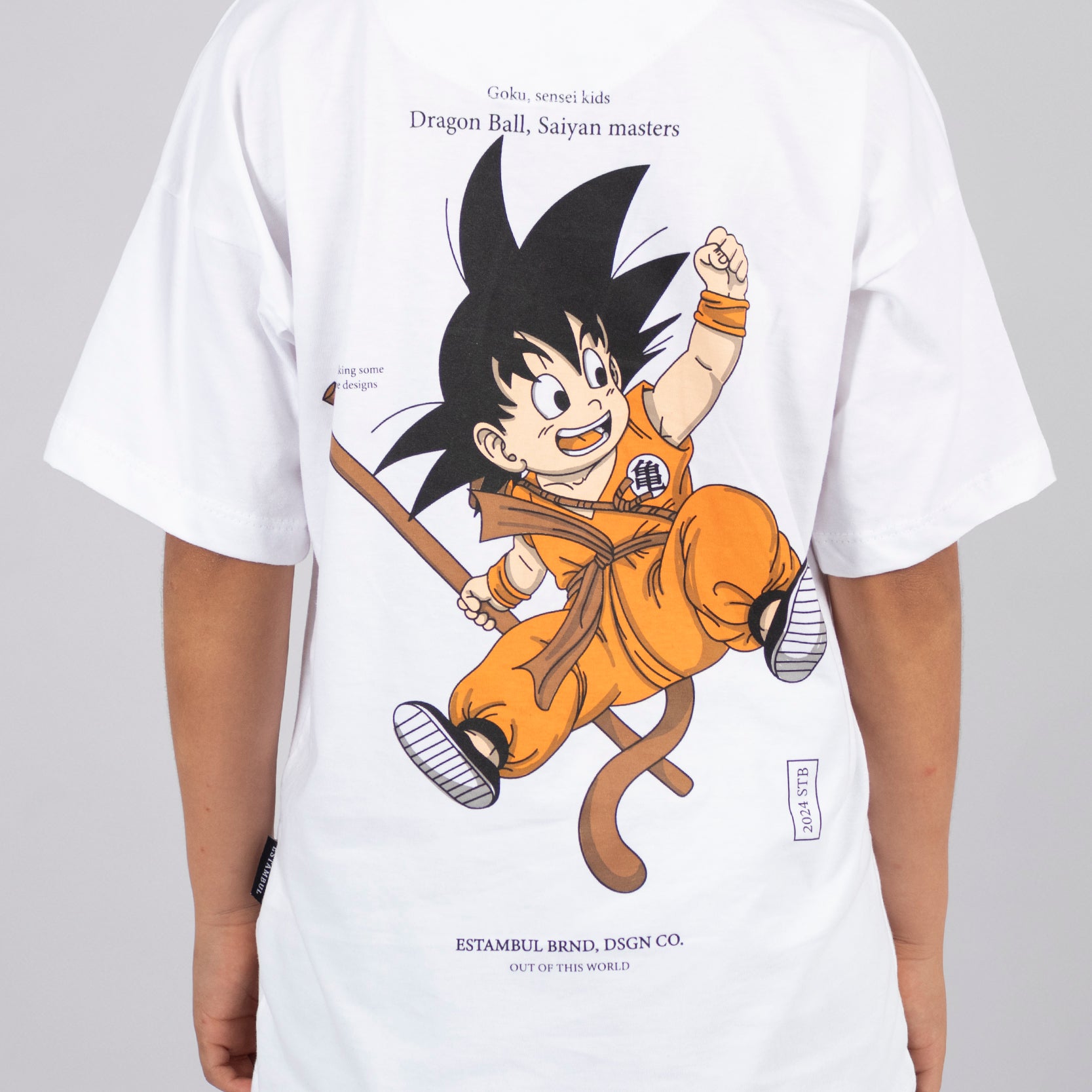 Conjunto niño dragon ball