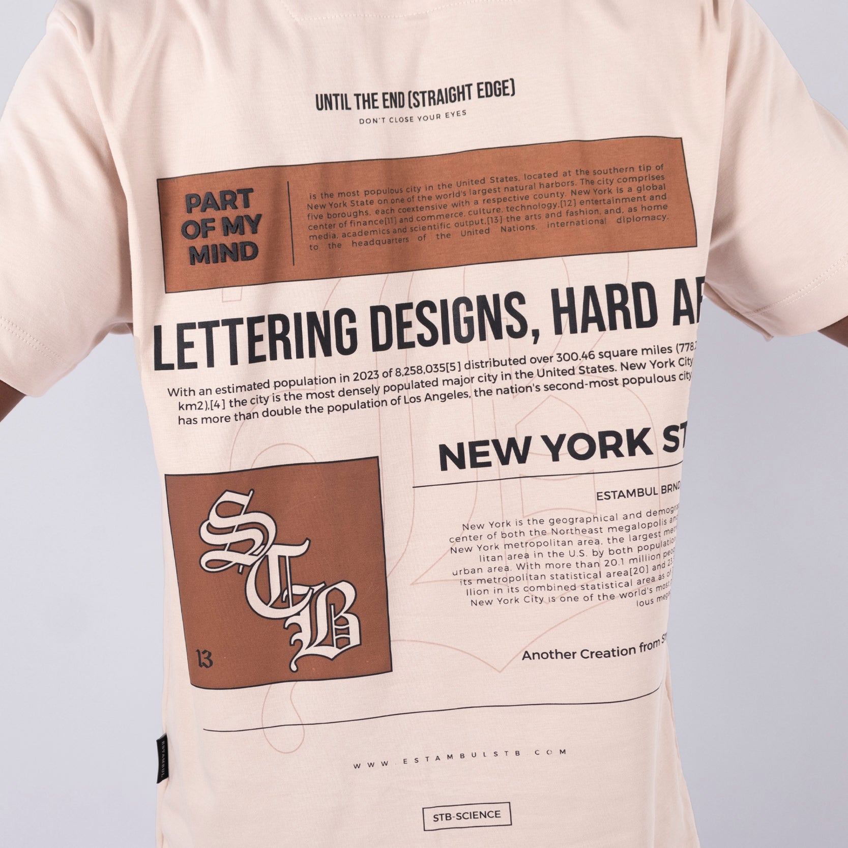 Camiseta regular new york