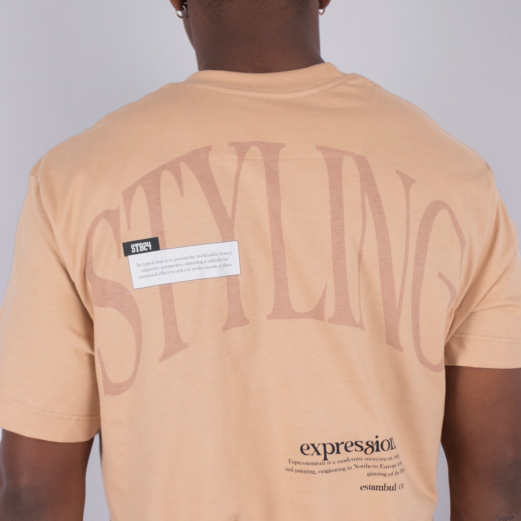 Camiseta hombre expresions