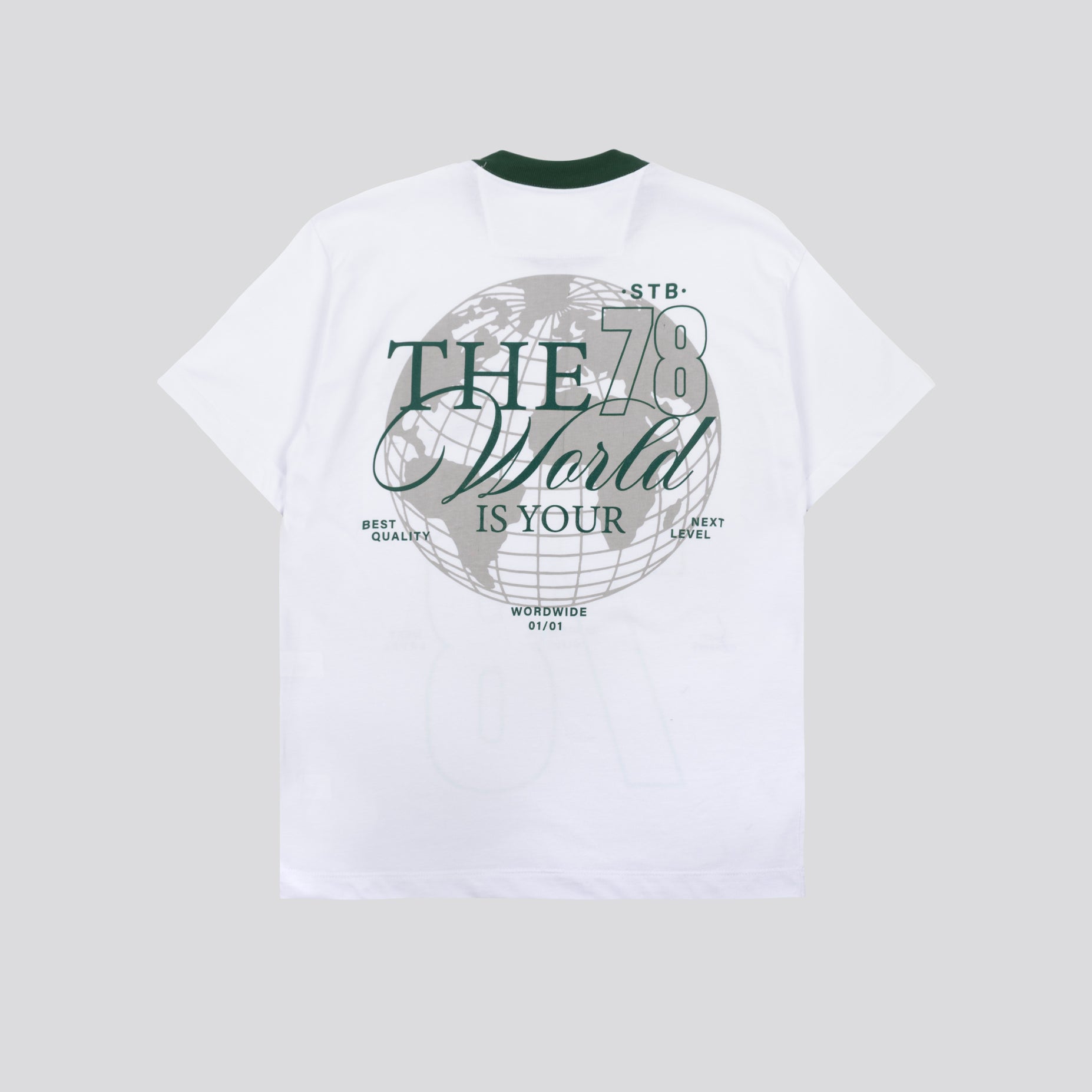 Camiseta R. Adulto The World 78