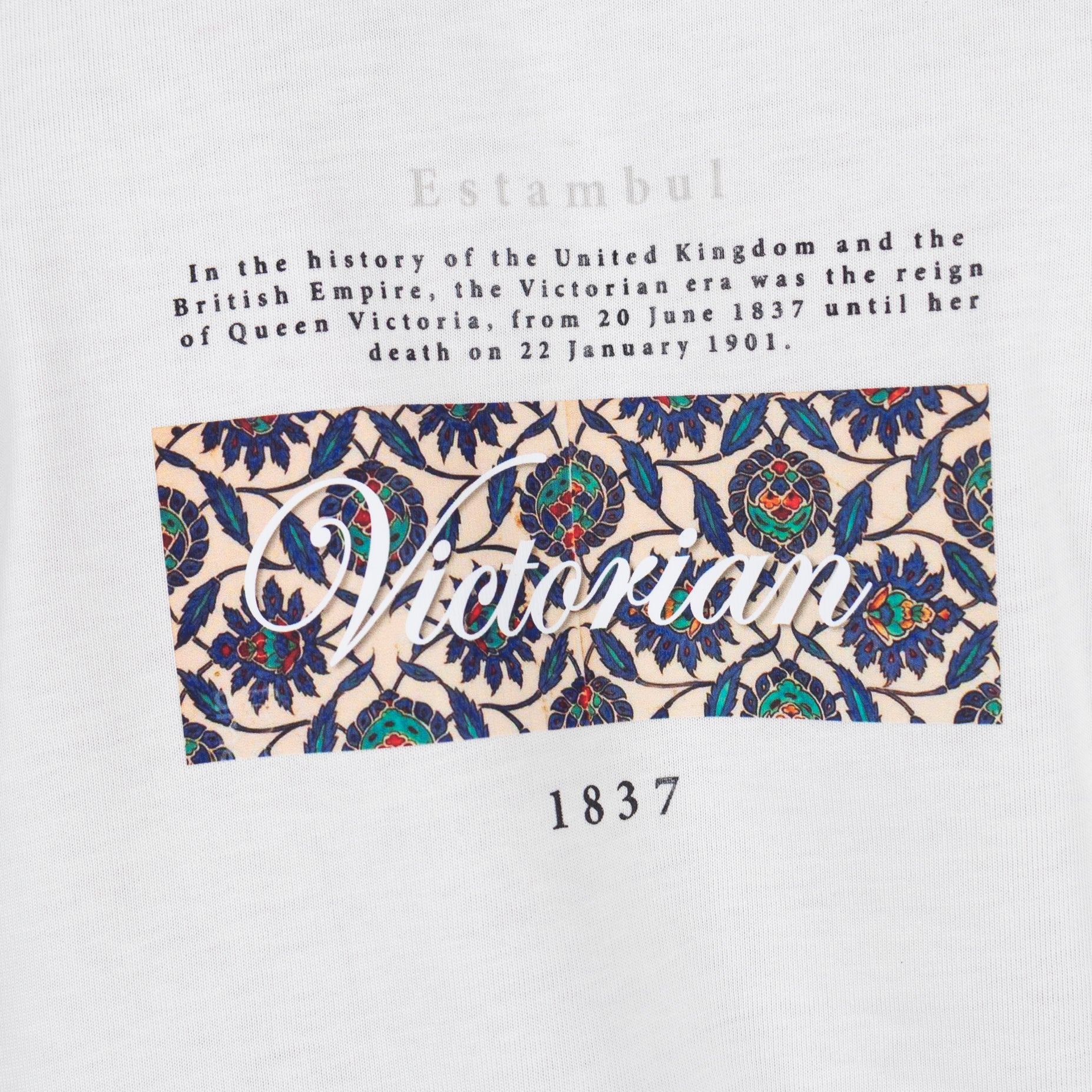 Camiseta hombre R. Victorian