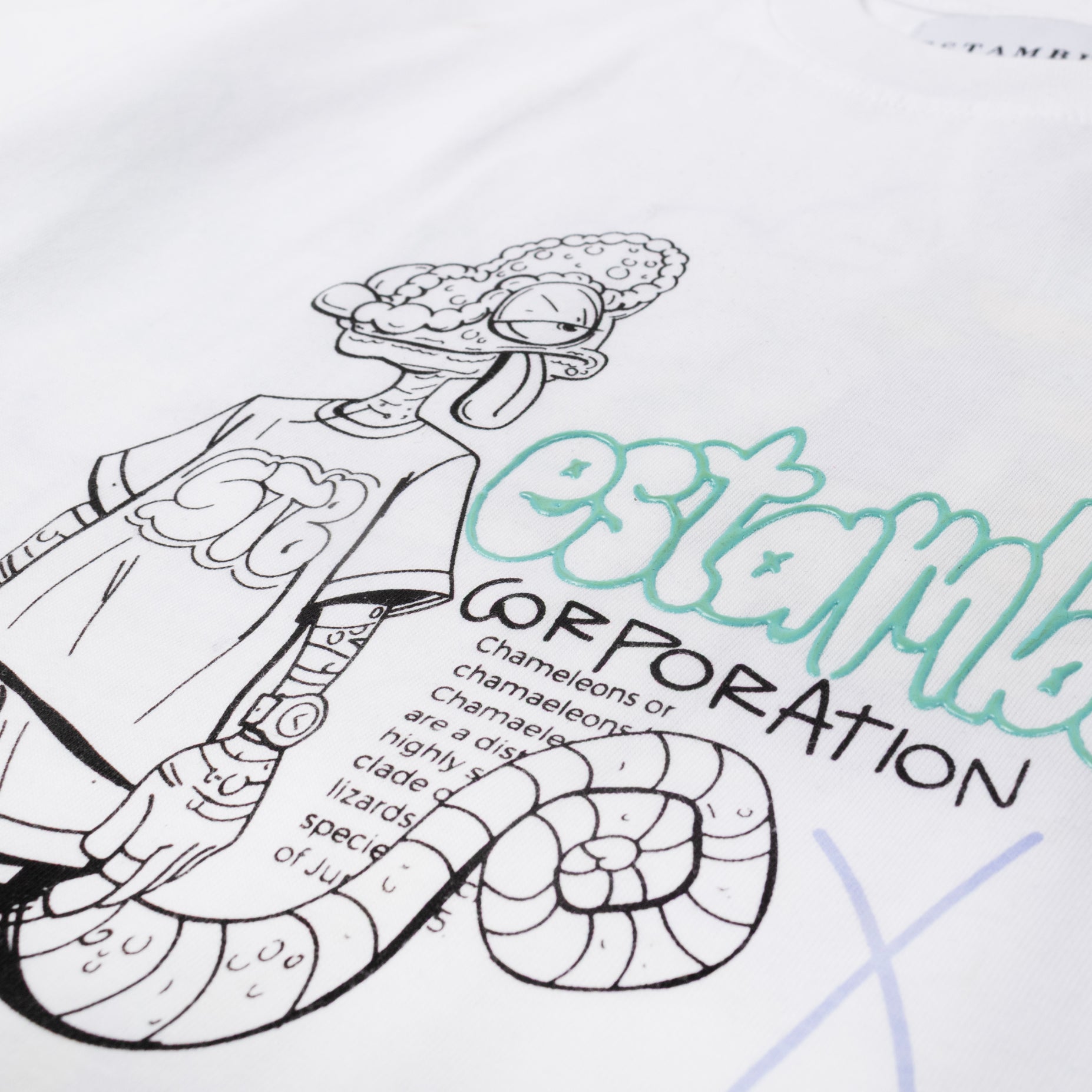 Oversize niño estampada Camaleon