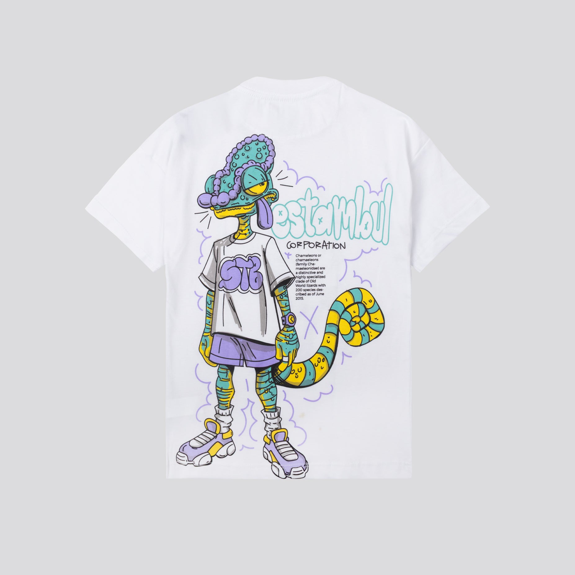 Oversize niño estampada Camaleon