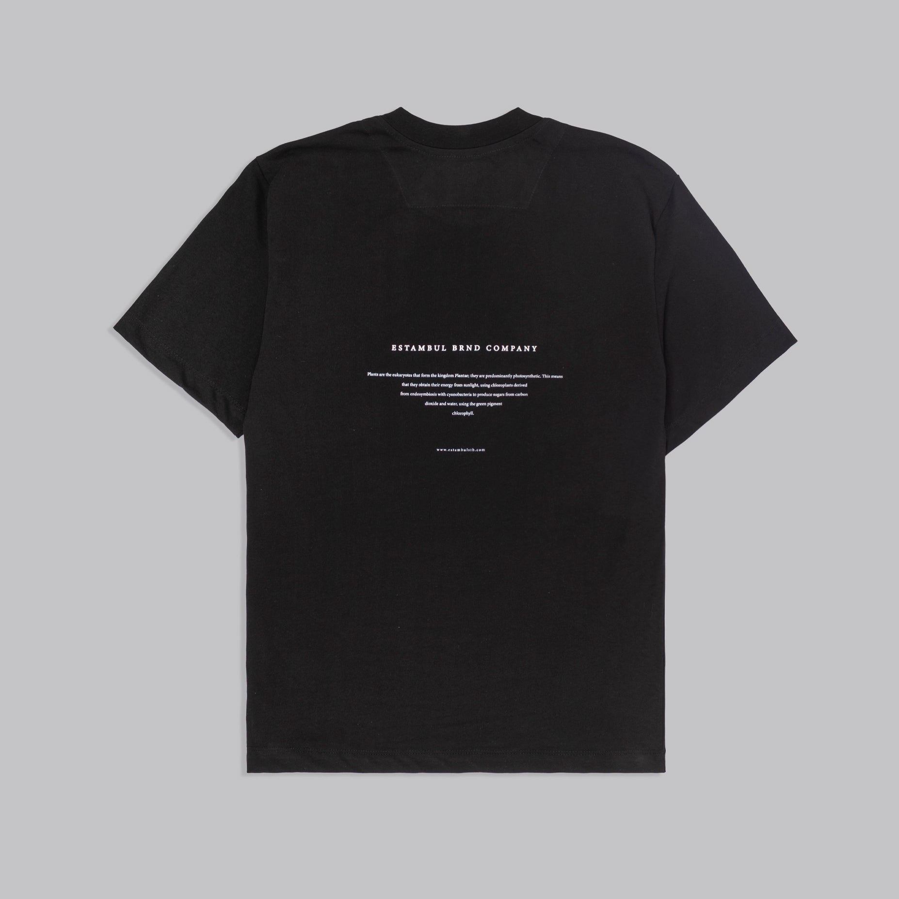 Camiseta hombre R. Company