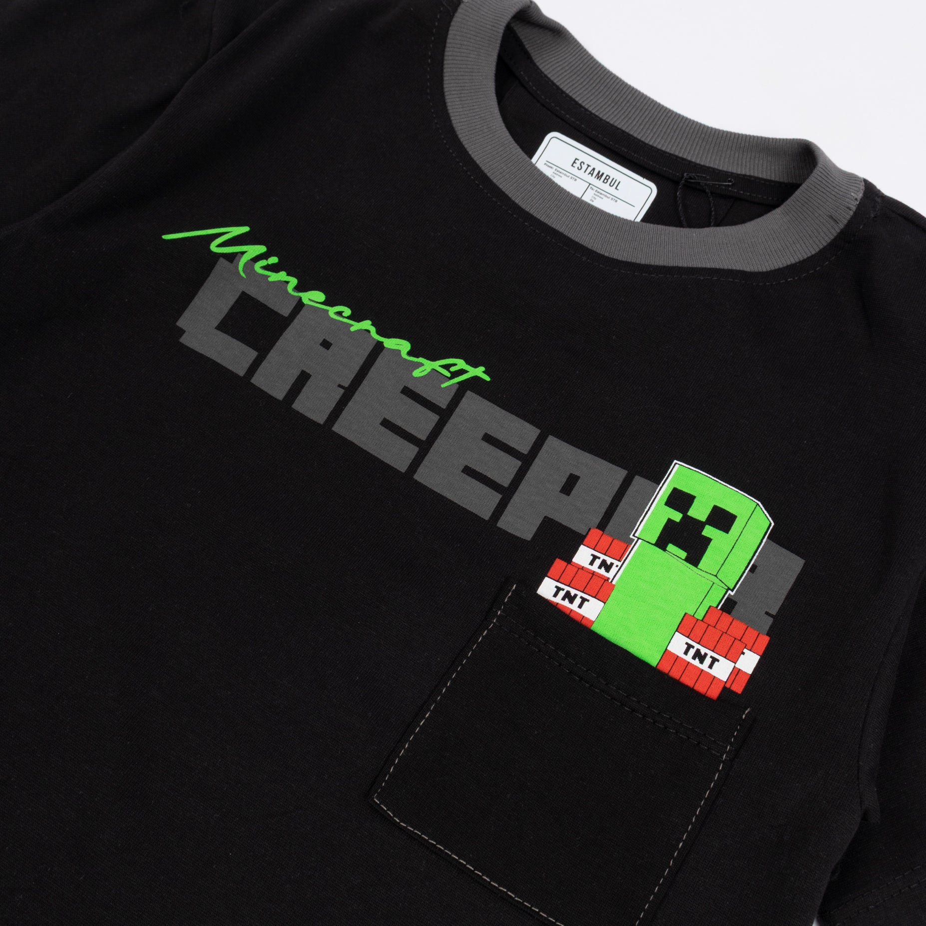 Camiseta niño Minecraft