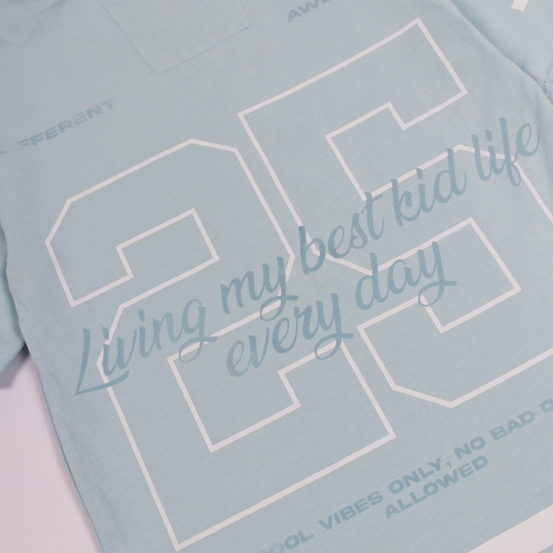 Camiseta niño R. Living