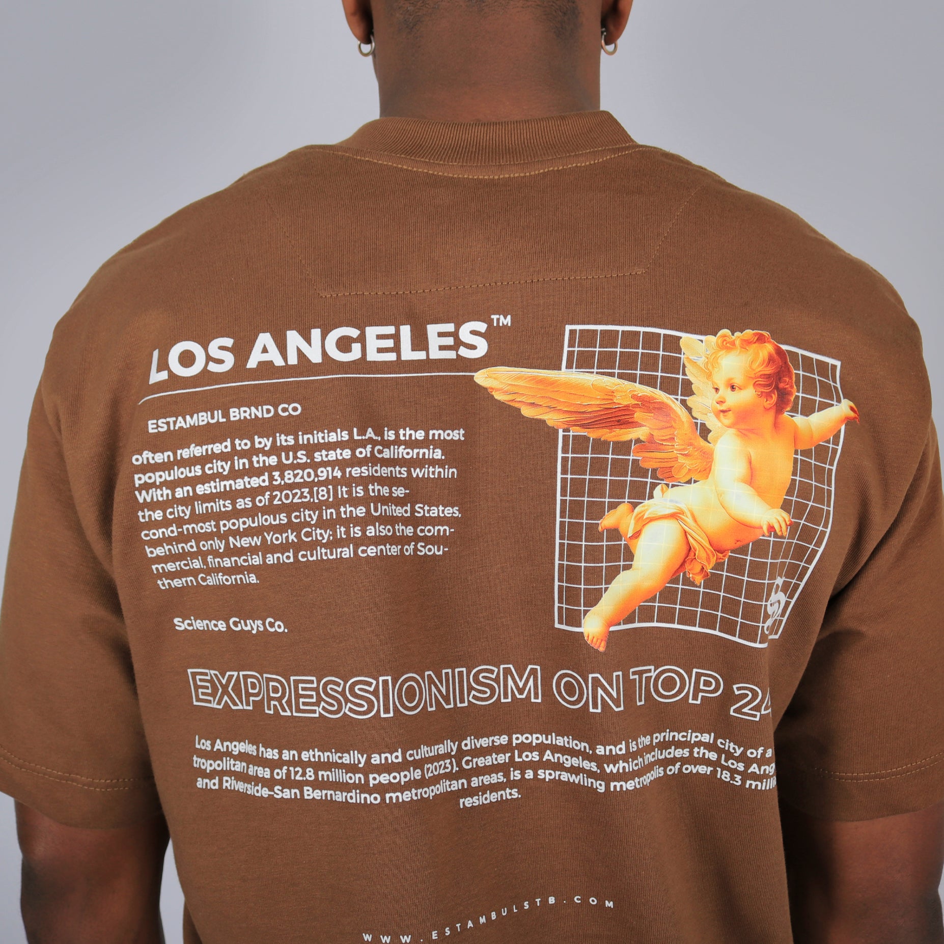 Camiseta hombre angeles