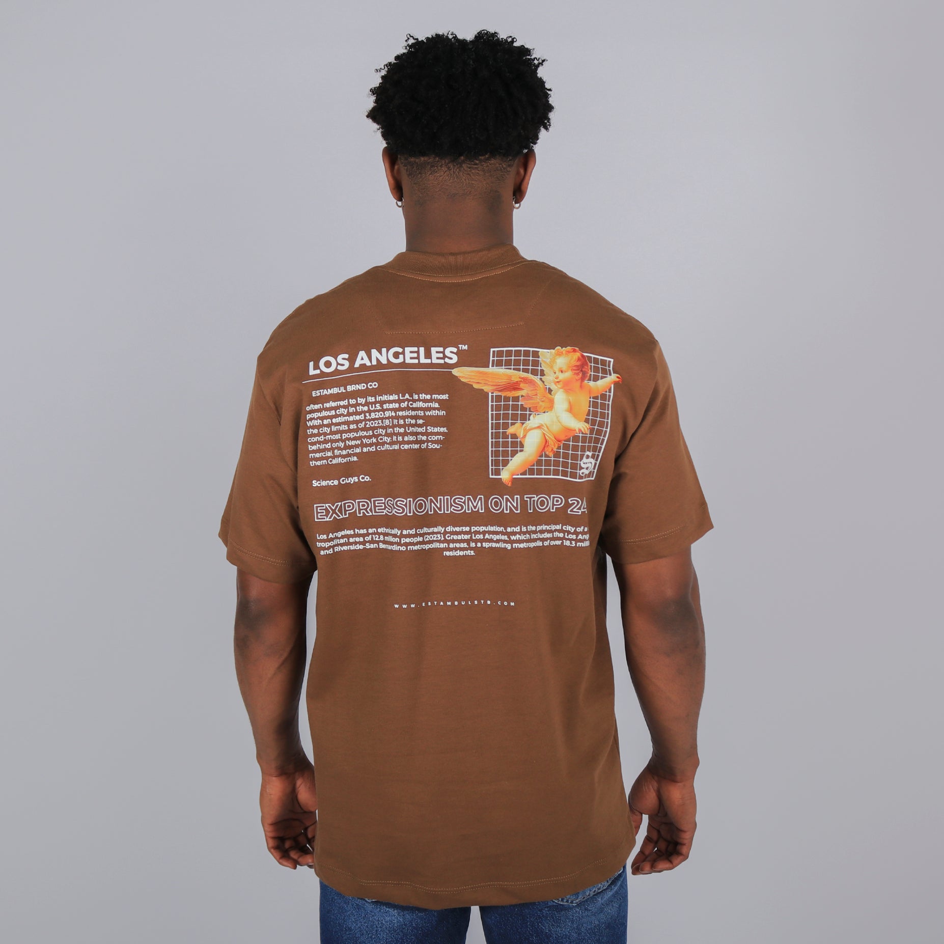 Camiseta hombre angeles