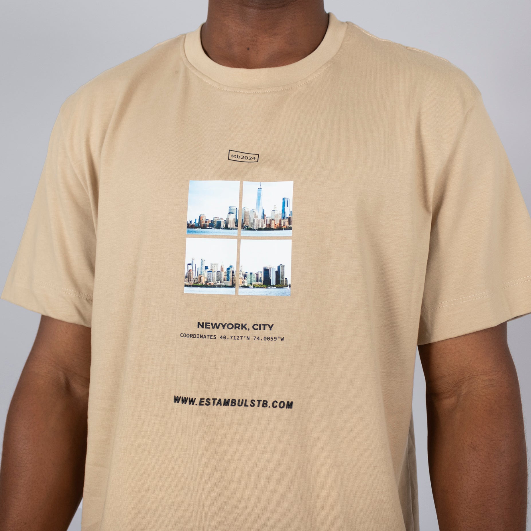 Camiseta hombre new york