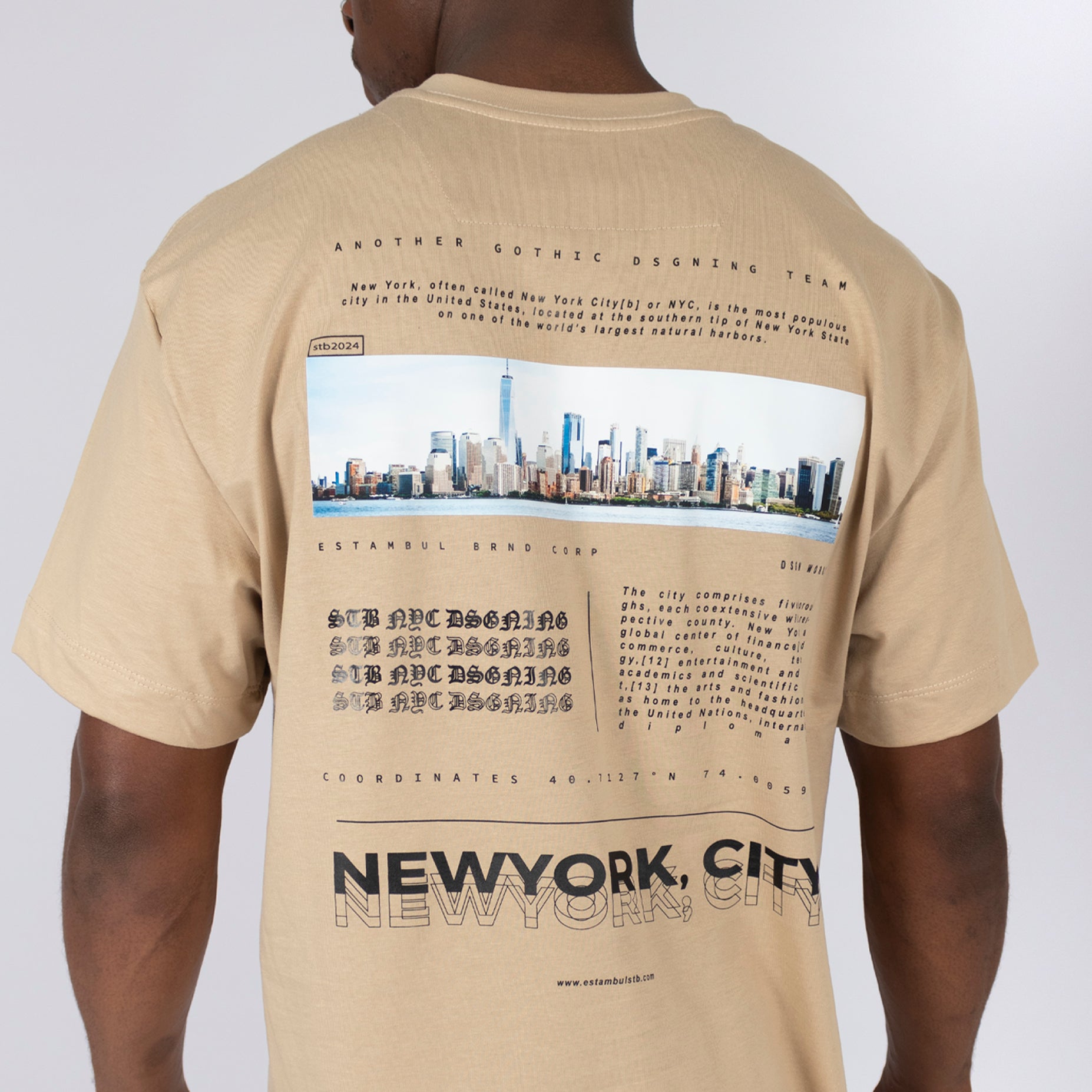 Camiseta hombre new york