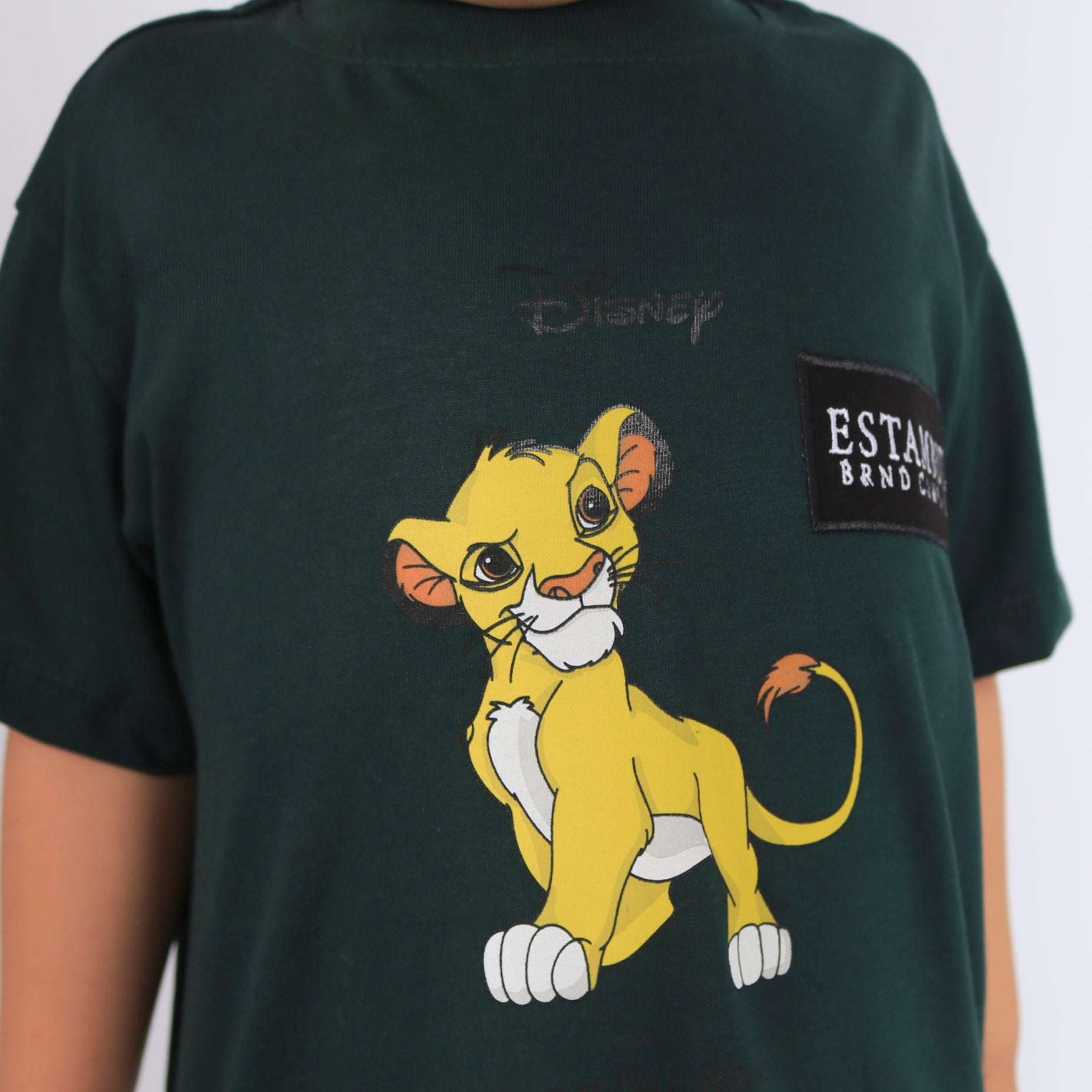 Oversize baby the lion