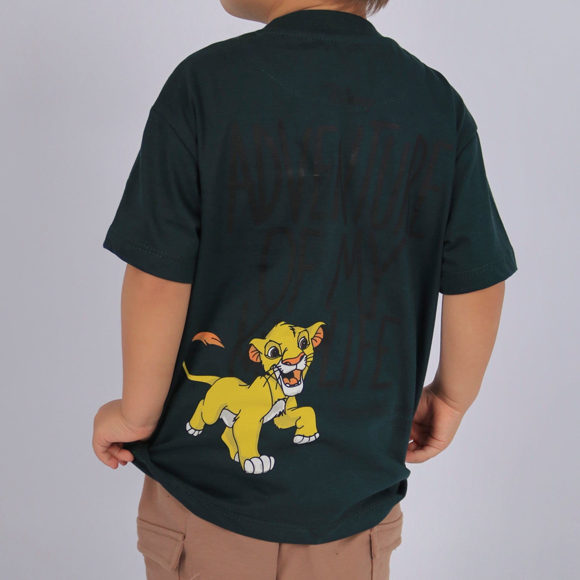 Oversize baby the lion