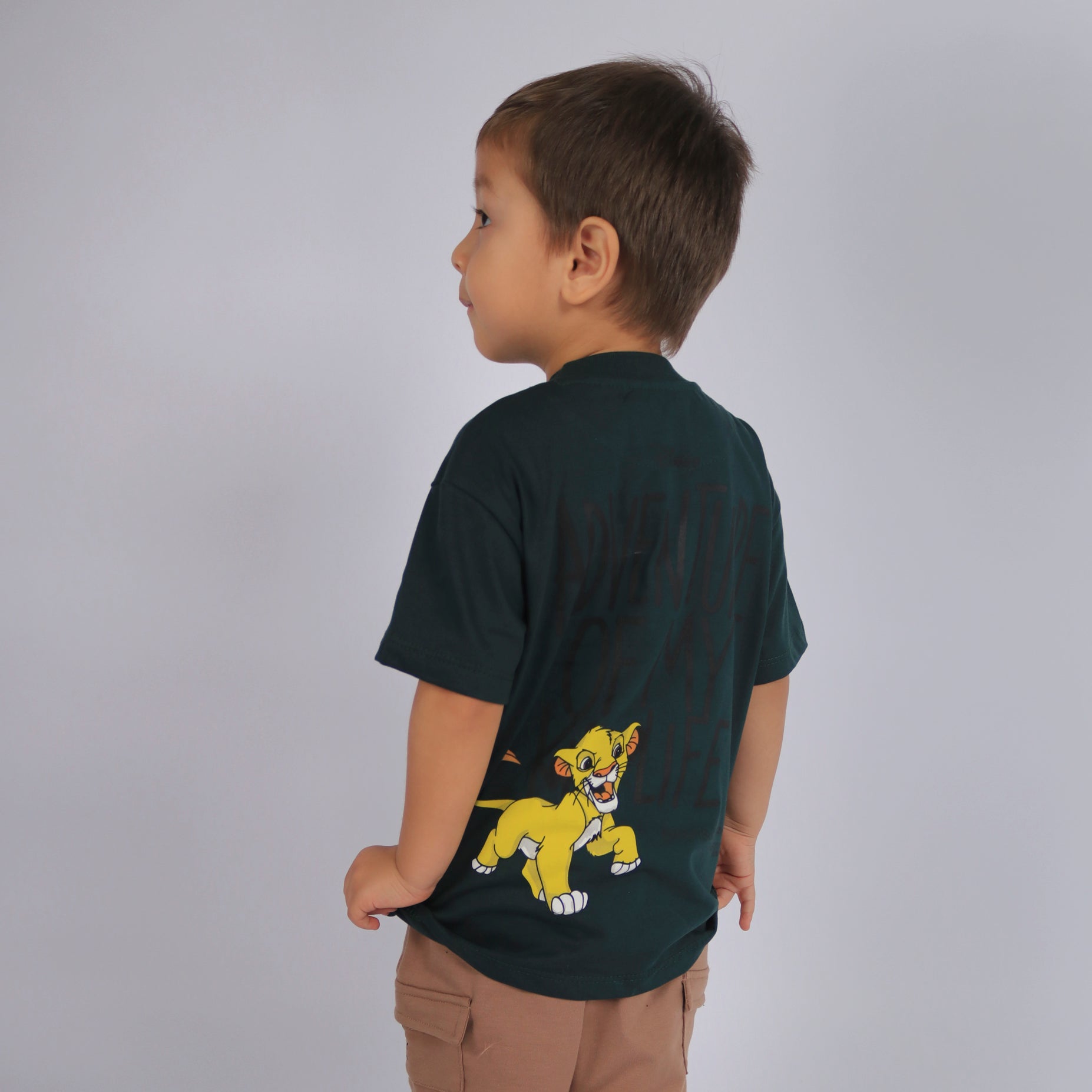 Oversize baby the lion