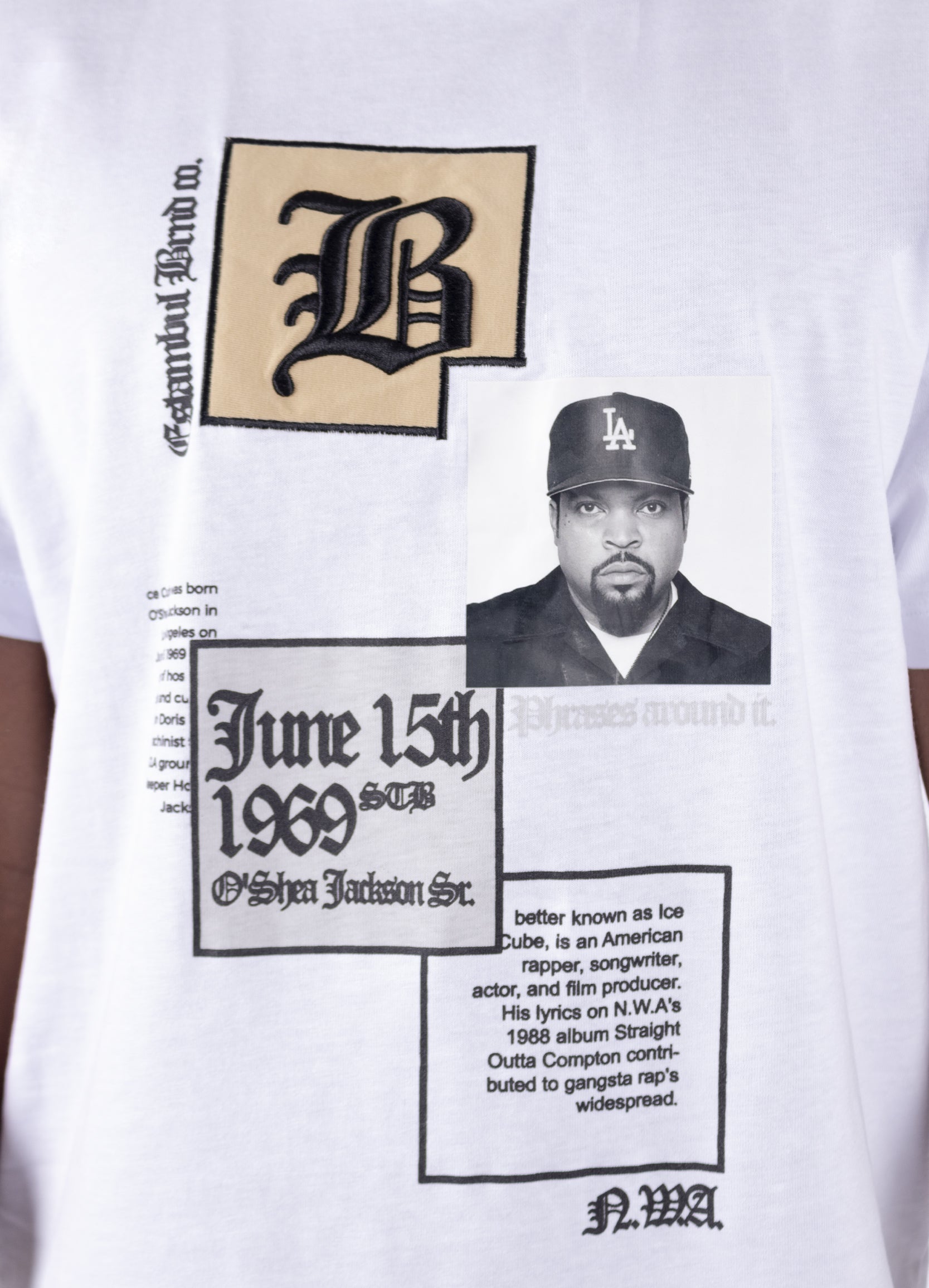 Camiseta hombre Ice Cube