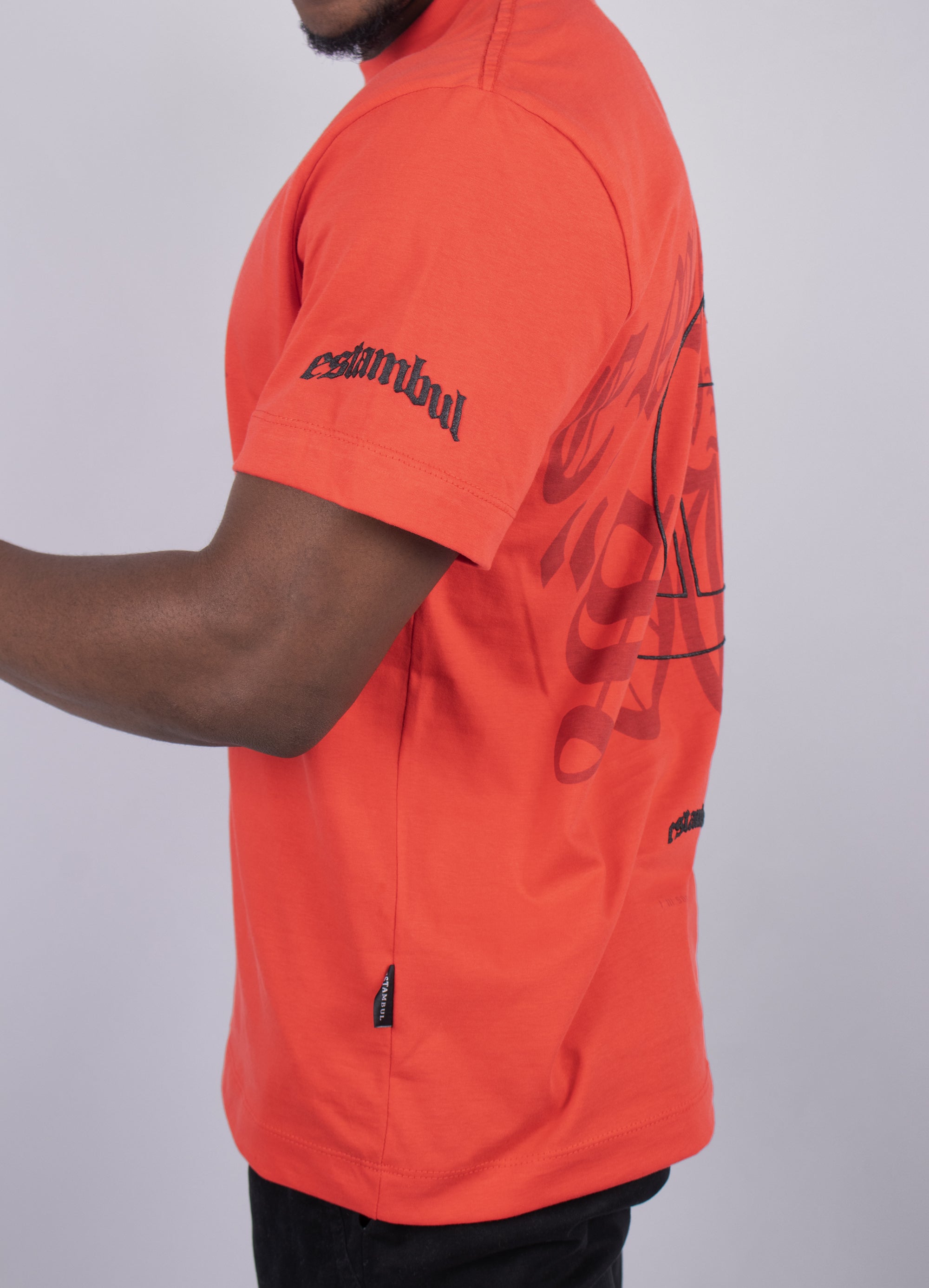 Camiseta hombre R. Sout