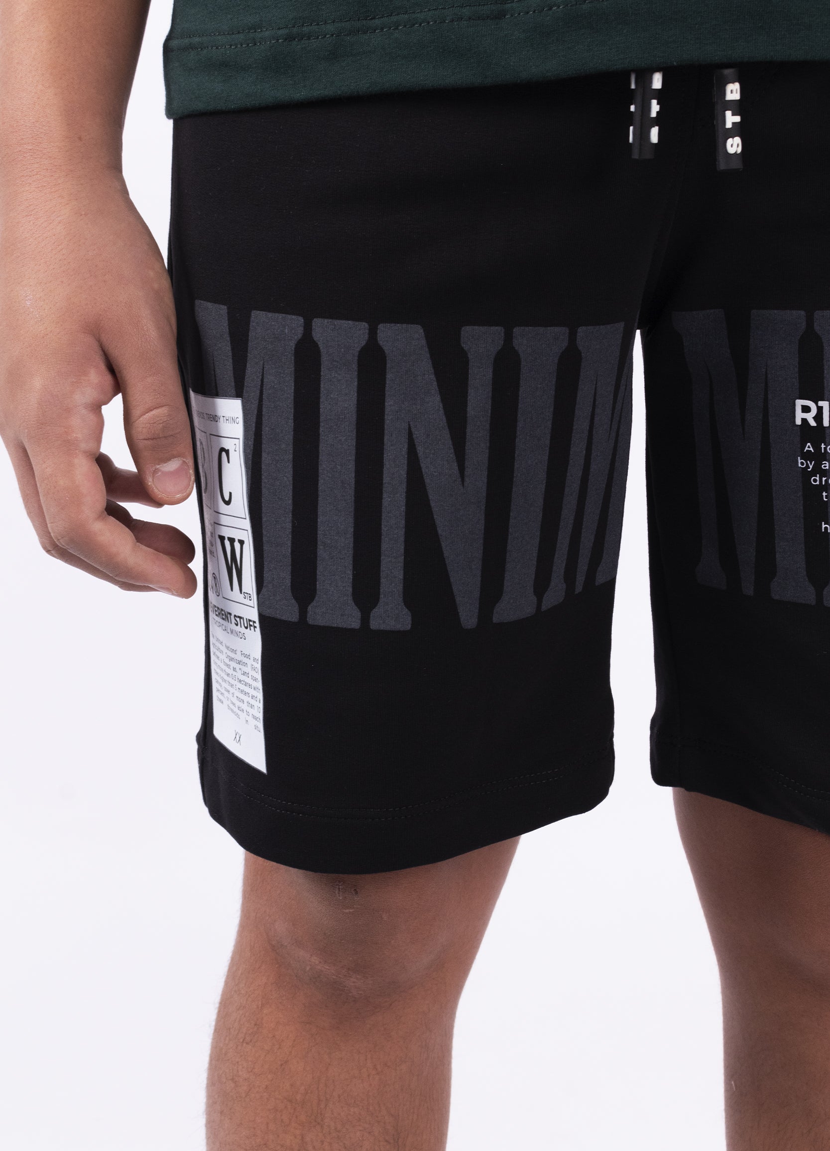 Conjunto niño Animal Minds