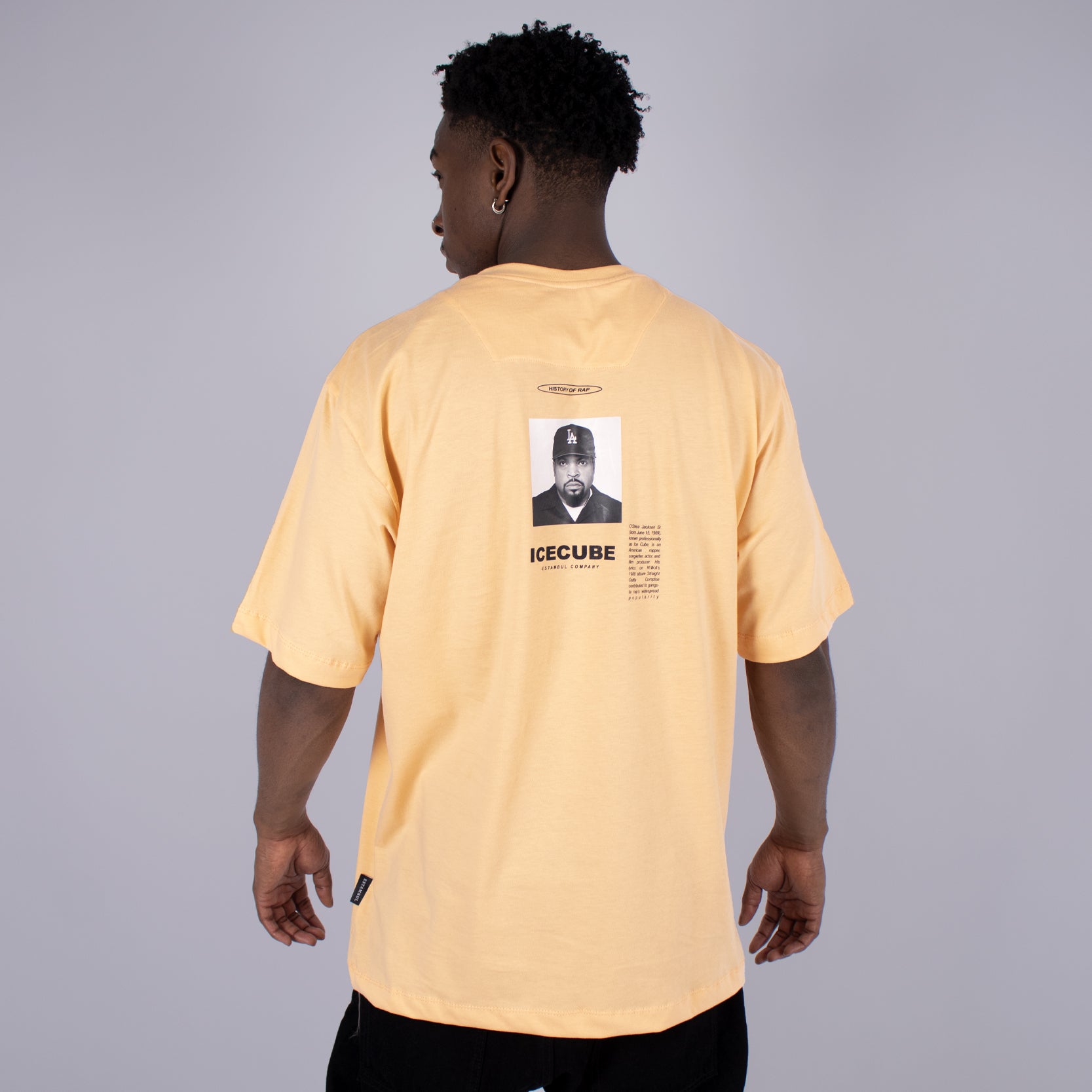 Camiseta R. estampada ice cube