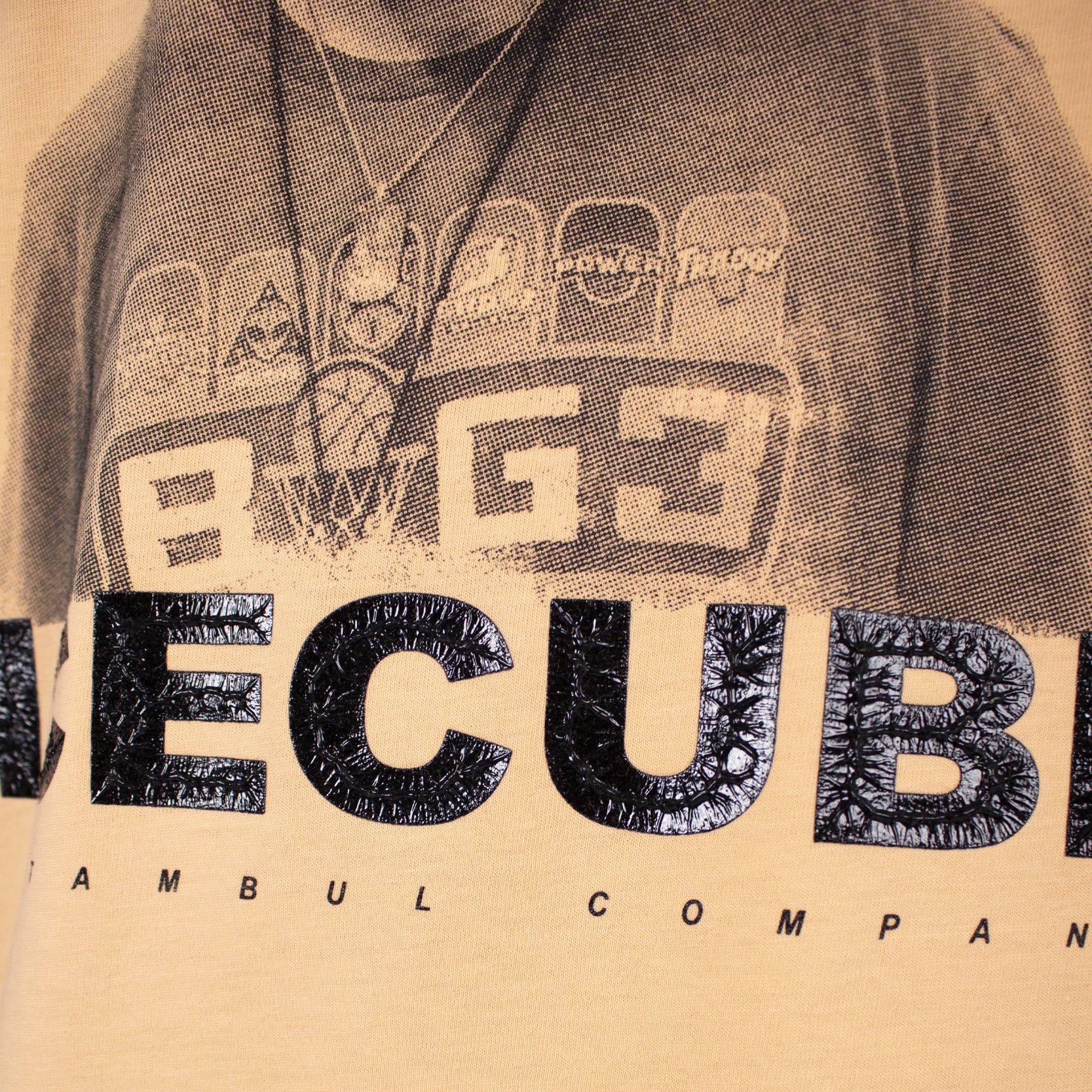 Camiseta R. estampada ice cube