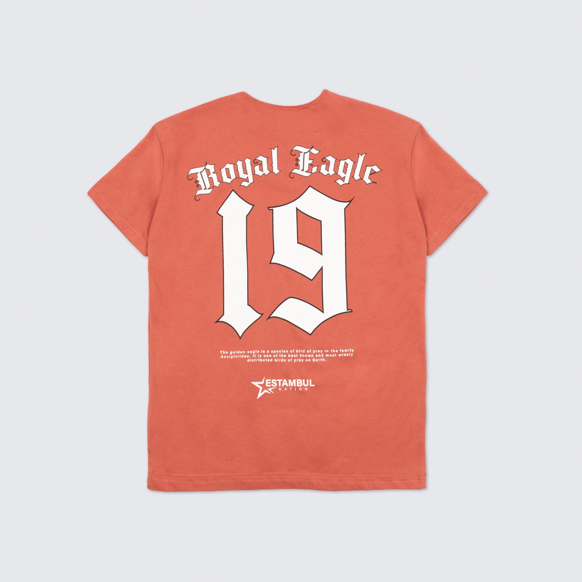 Camiseta R. Hombre Royal
