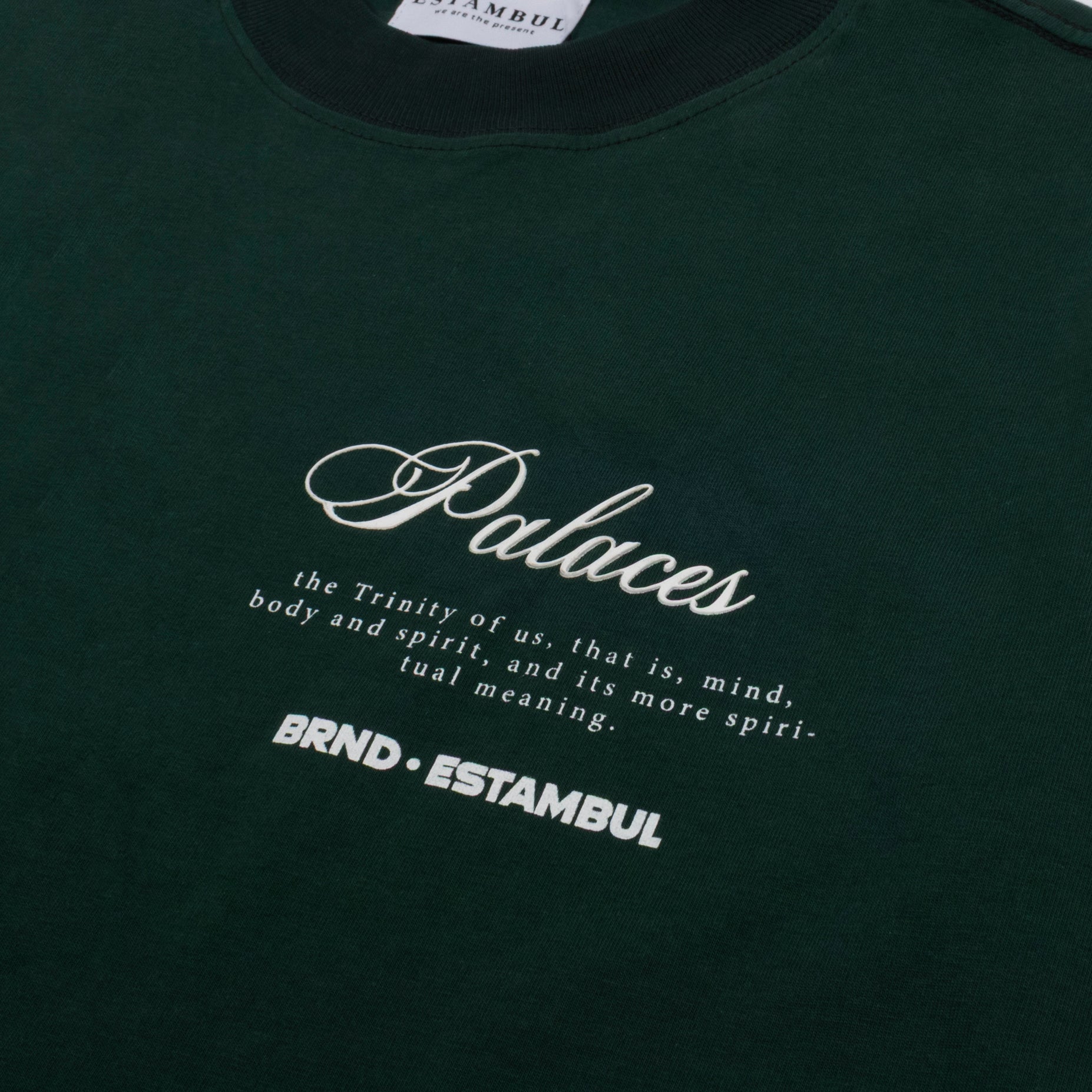 Camiseta R. Hombre Palaces