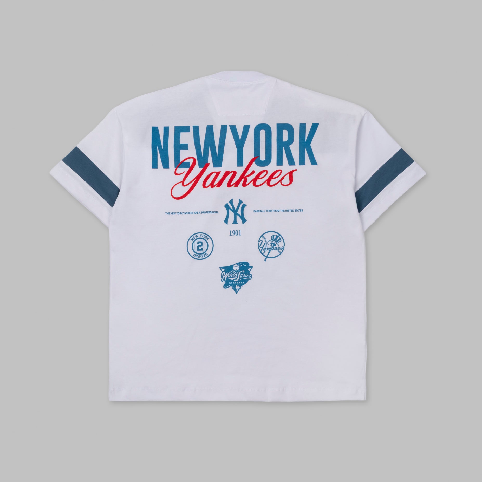 Camiseta regular adulto new york