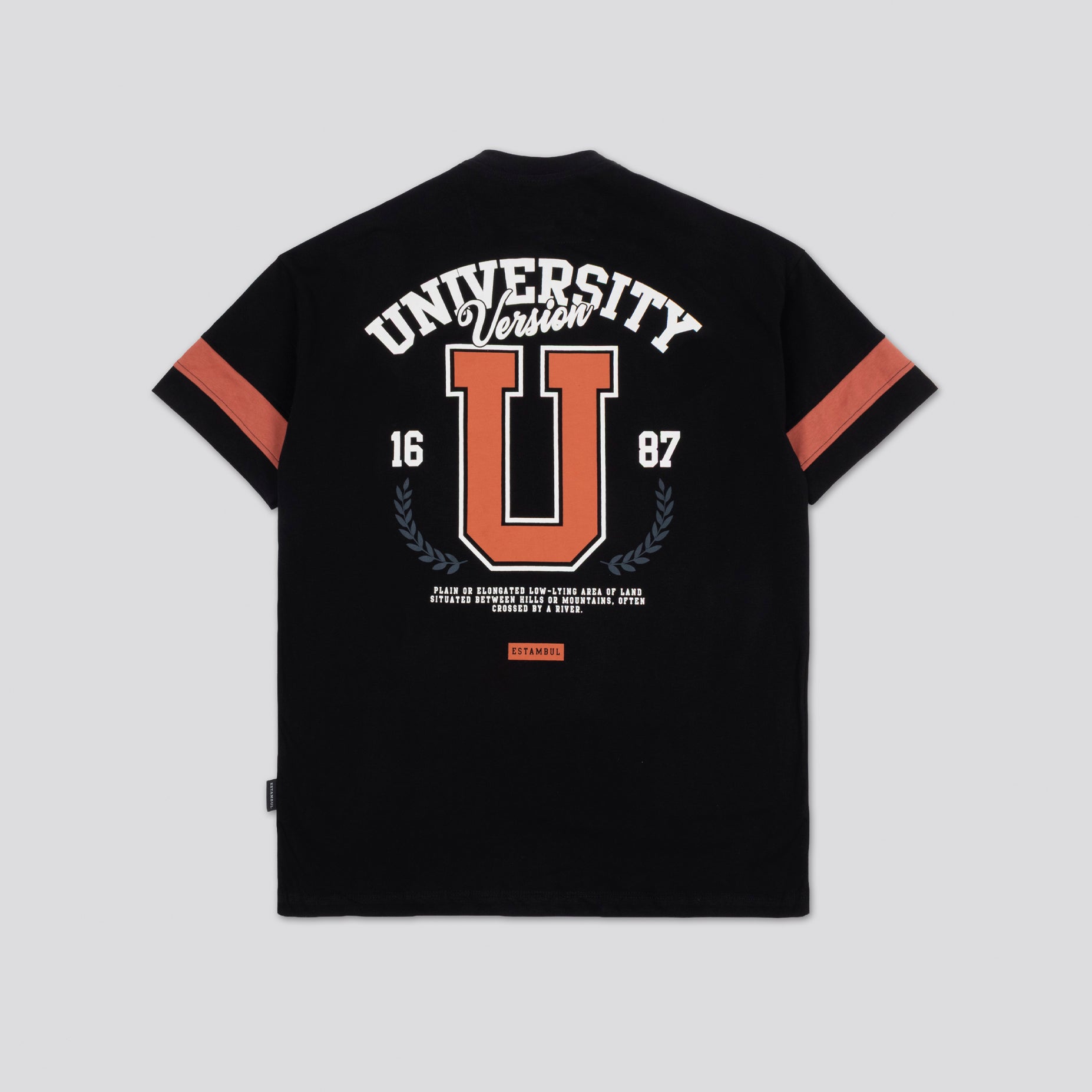 Cmst regular adulto university