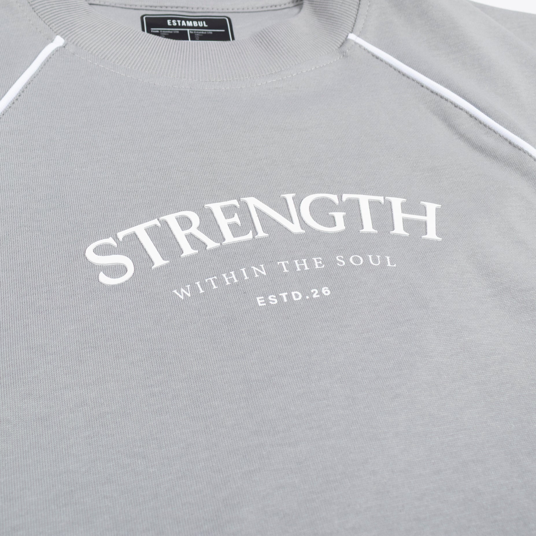 Camiseta hombre vivos gris