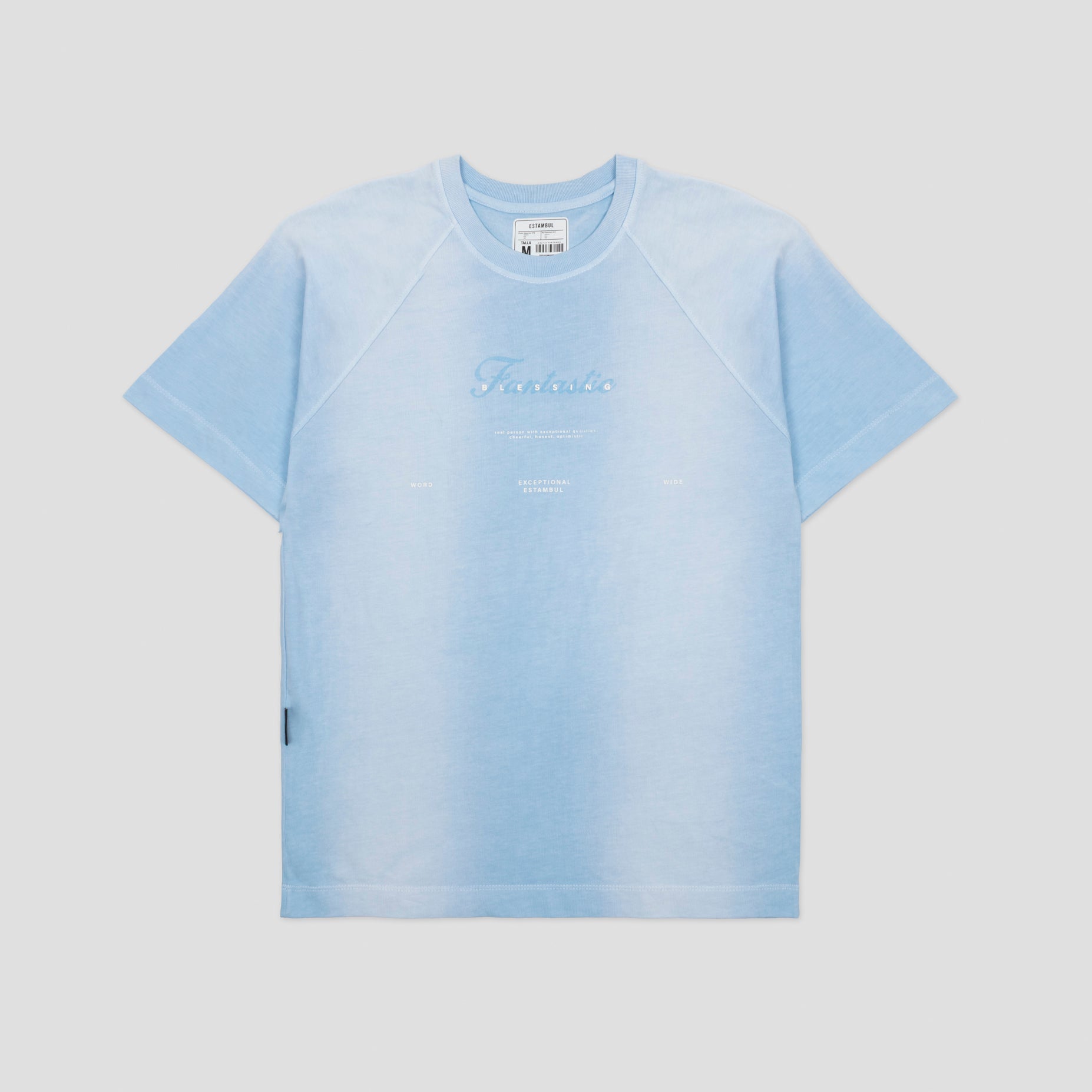 Camiseta regular adulto degrade