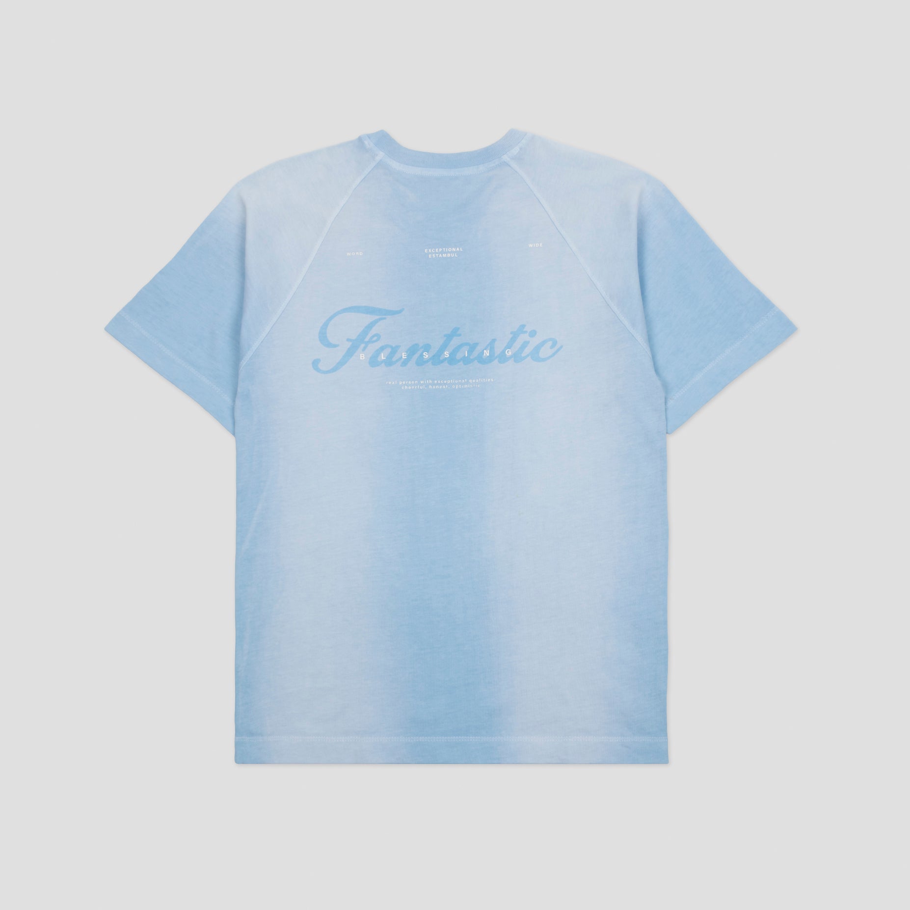 Camiseta regular adulto degrade