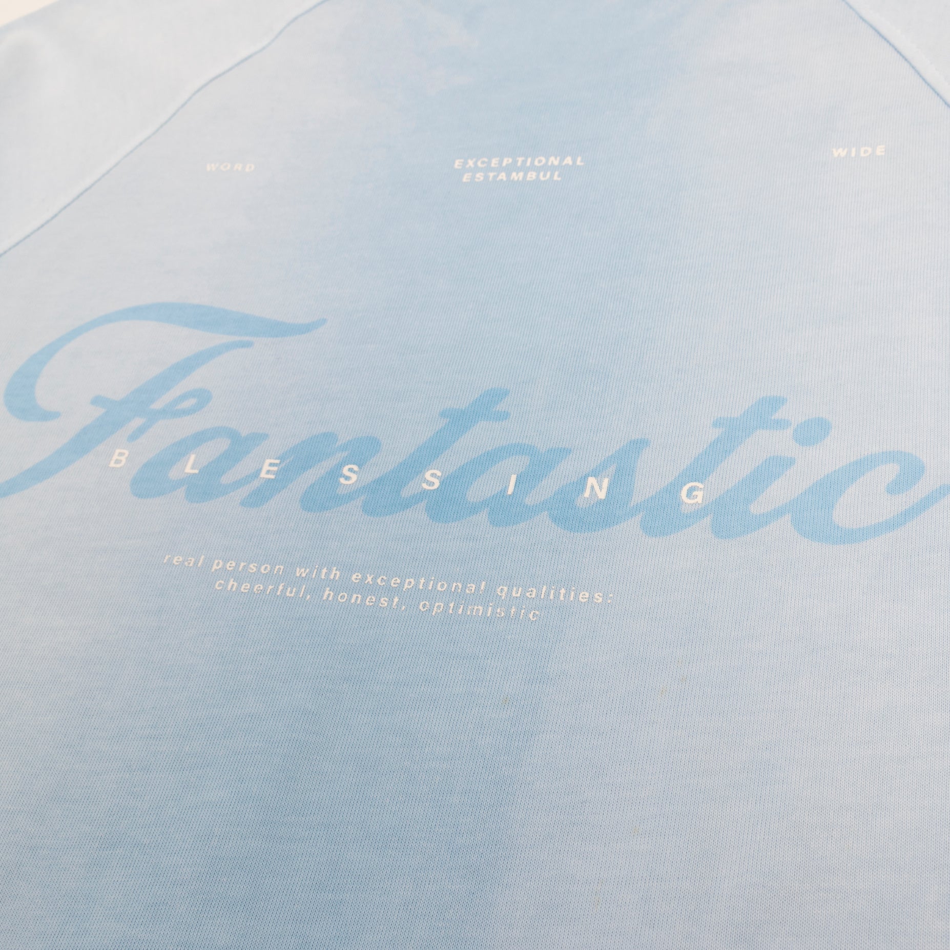 Camiseta regular adulto degrade