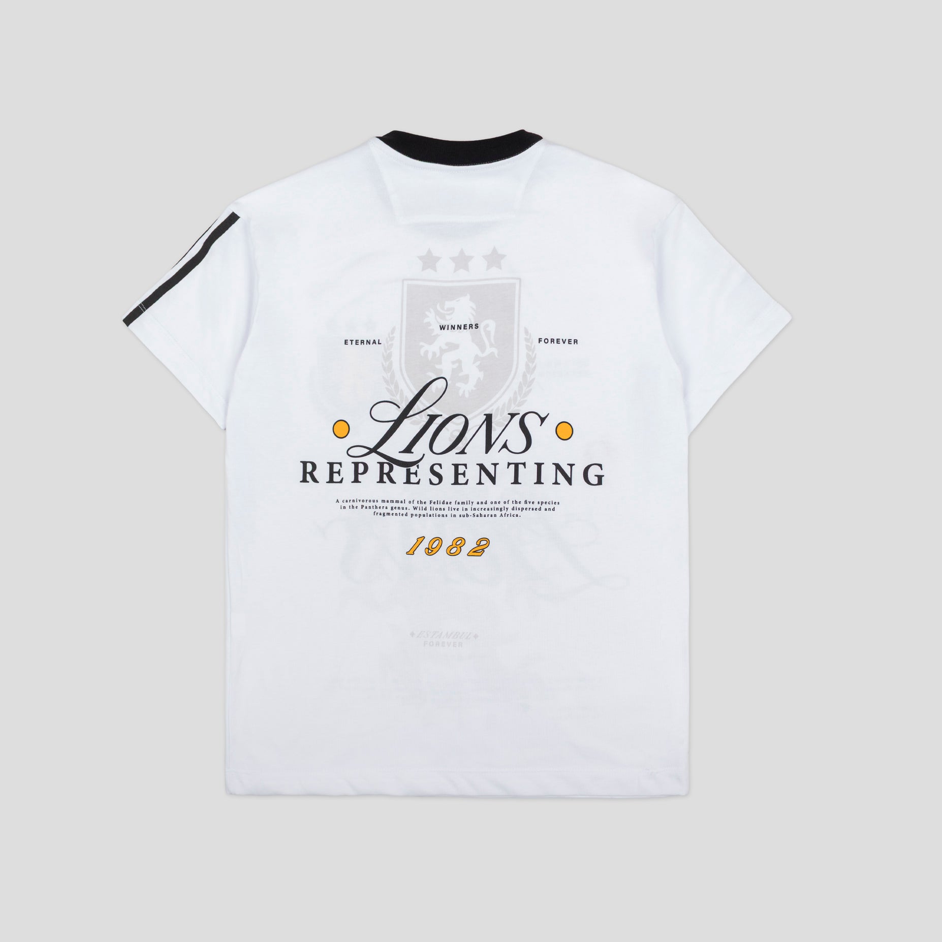 Camiseta R. hombre Lions Winner