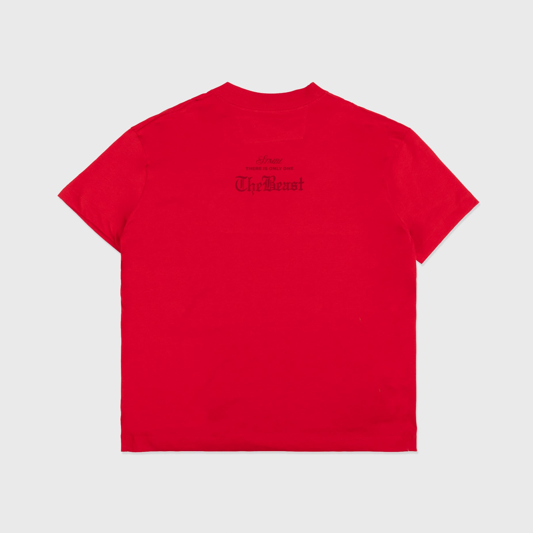 Camiseta hombre Beast