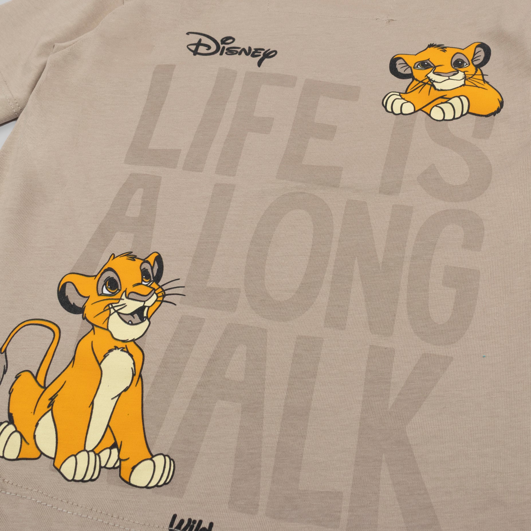 Oversize baby Lion