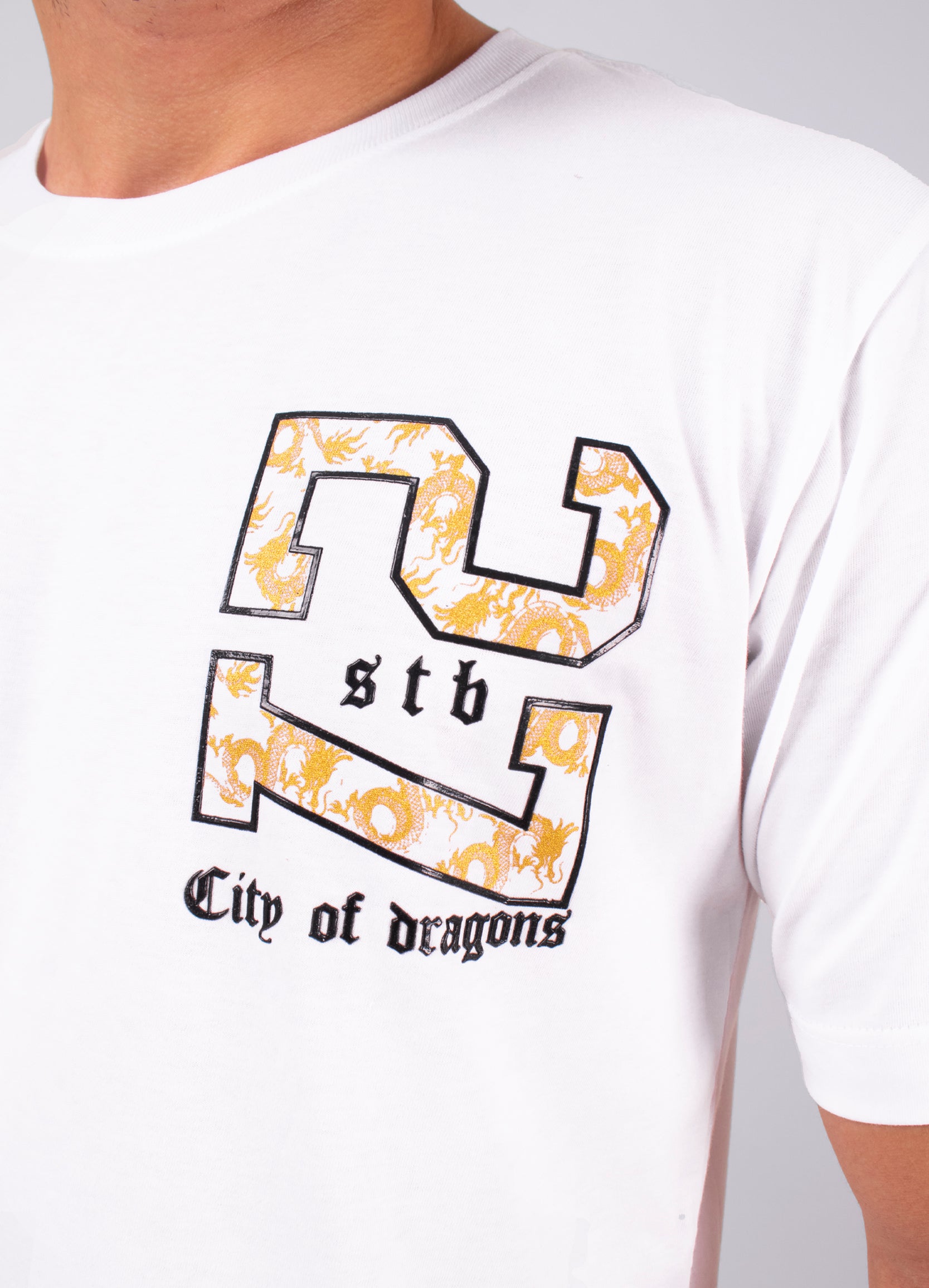 Camiseta hombre estampada 27 City