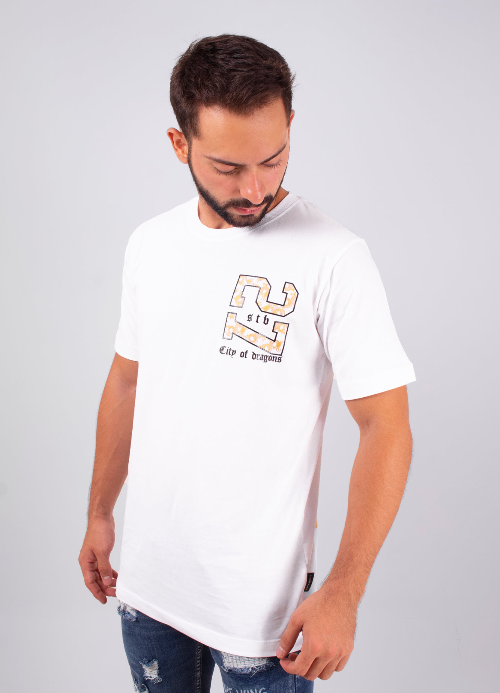 Camiseta hombre estampada 27 City