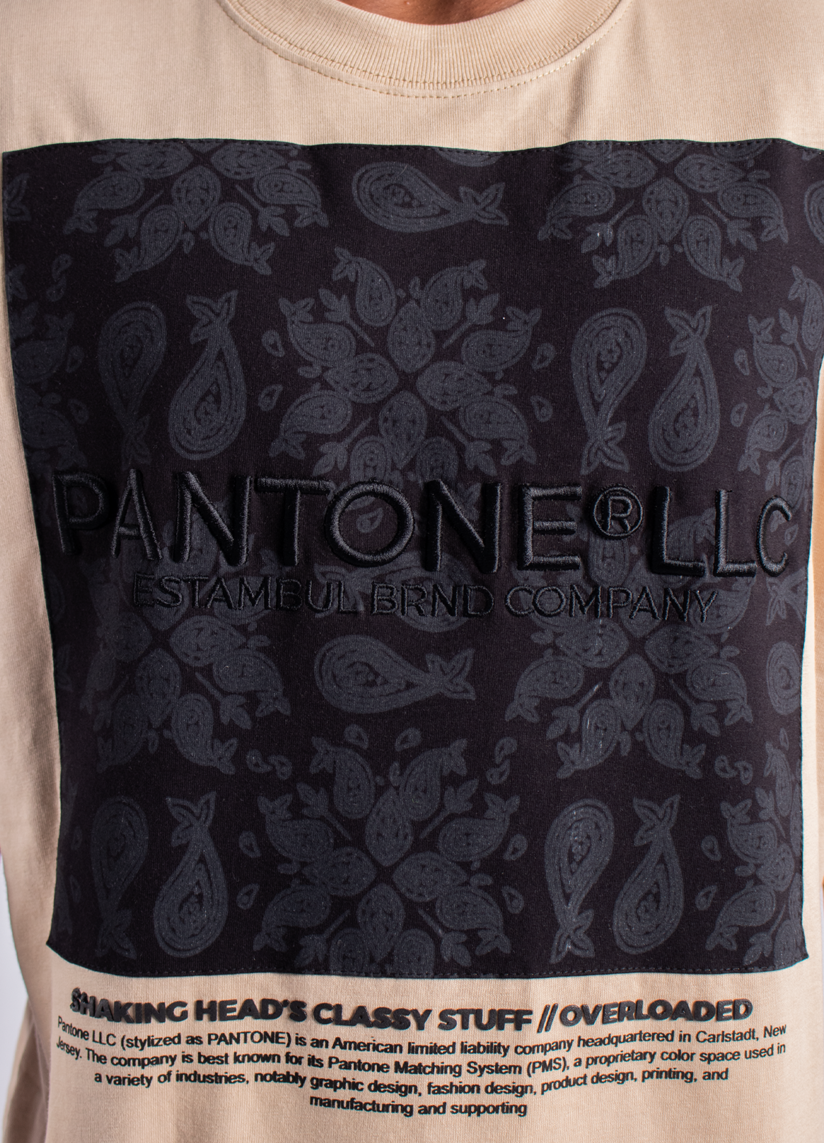 Camiseta hombre R. Pantone
