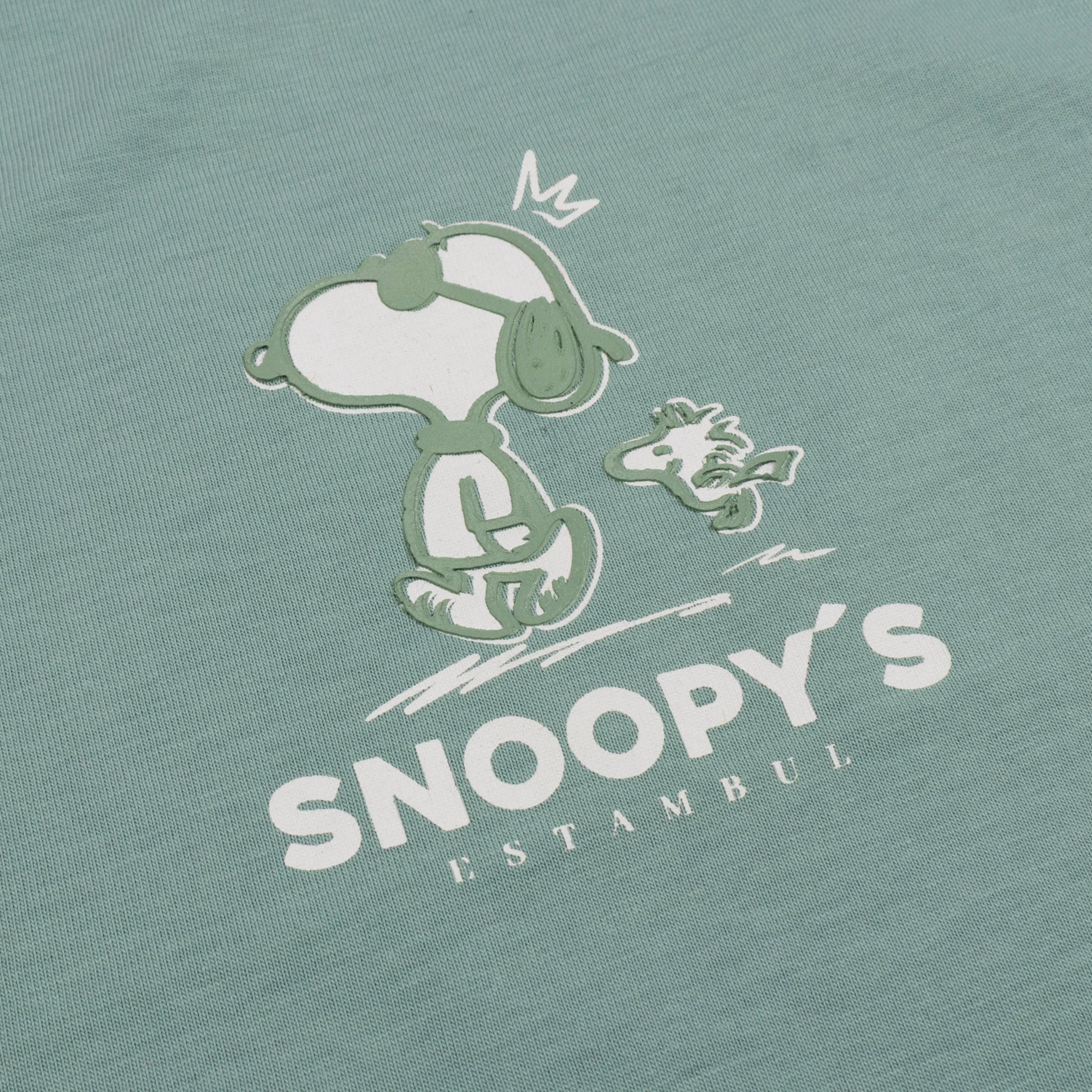 Camiseta niño R. Snoopy
